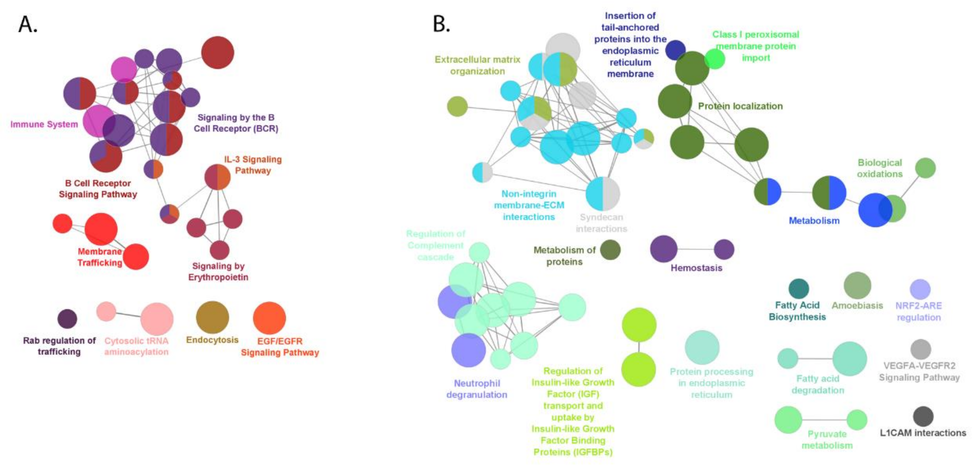 Cancers 13 00630 g006