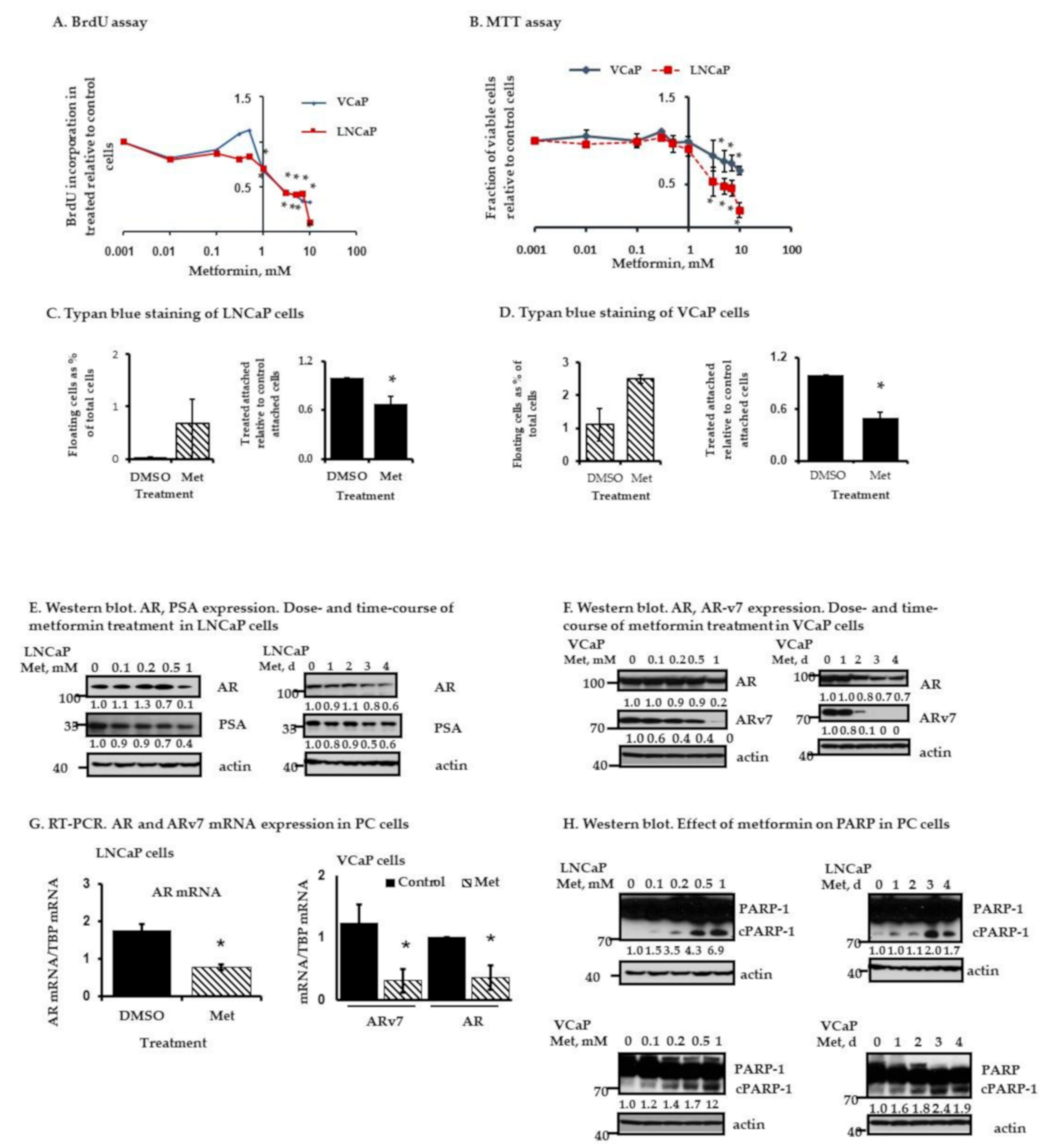 Cancers 13 00633 g002