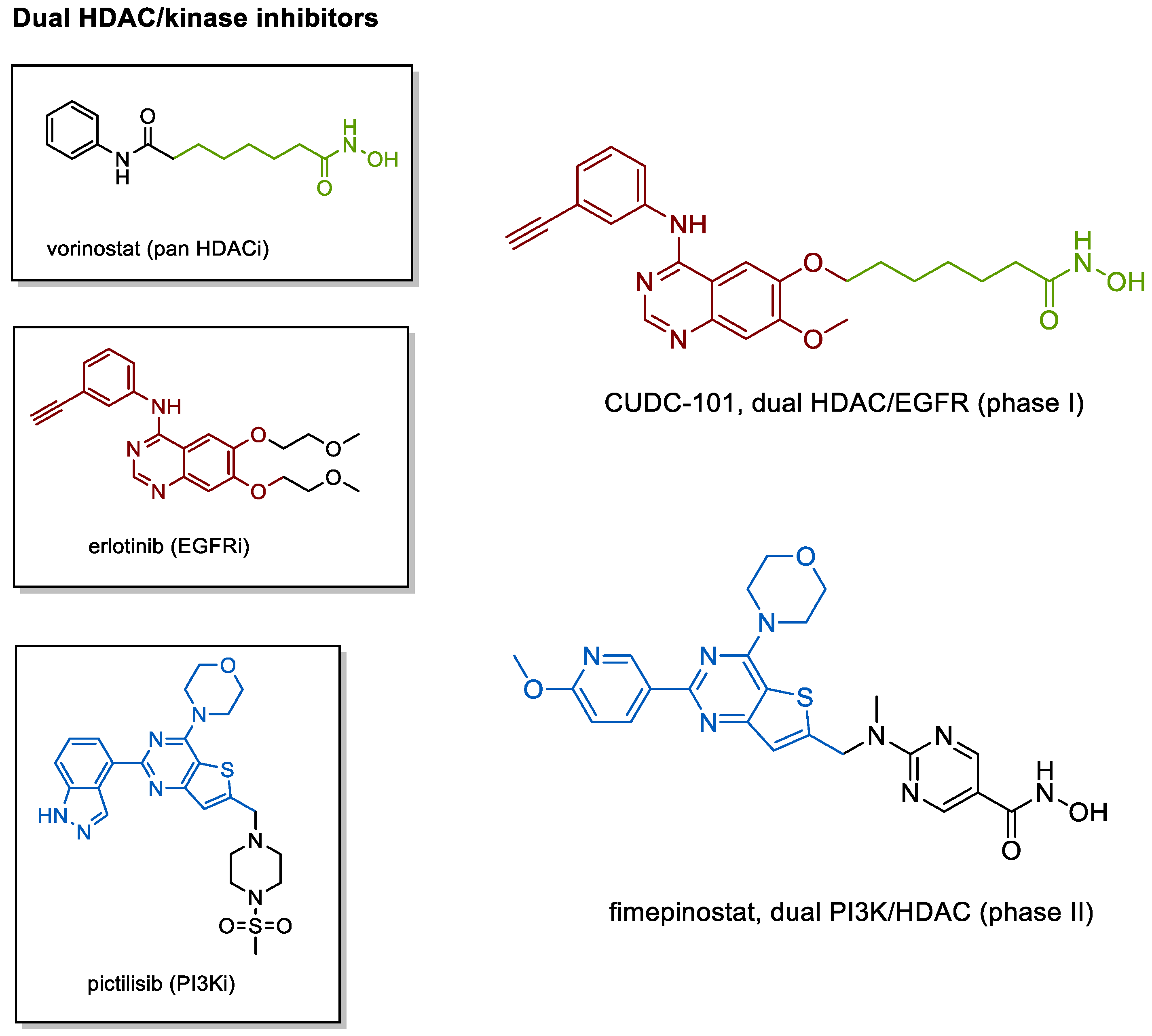 Cancers 13 00634 g003