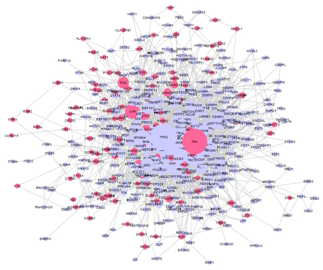 Cancers 13 00636 g003