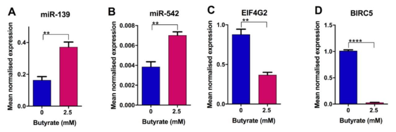 Cancers 13 00636 g006