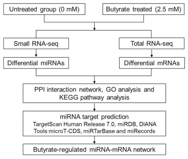 Cancers 13 00636 g014