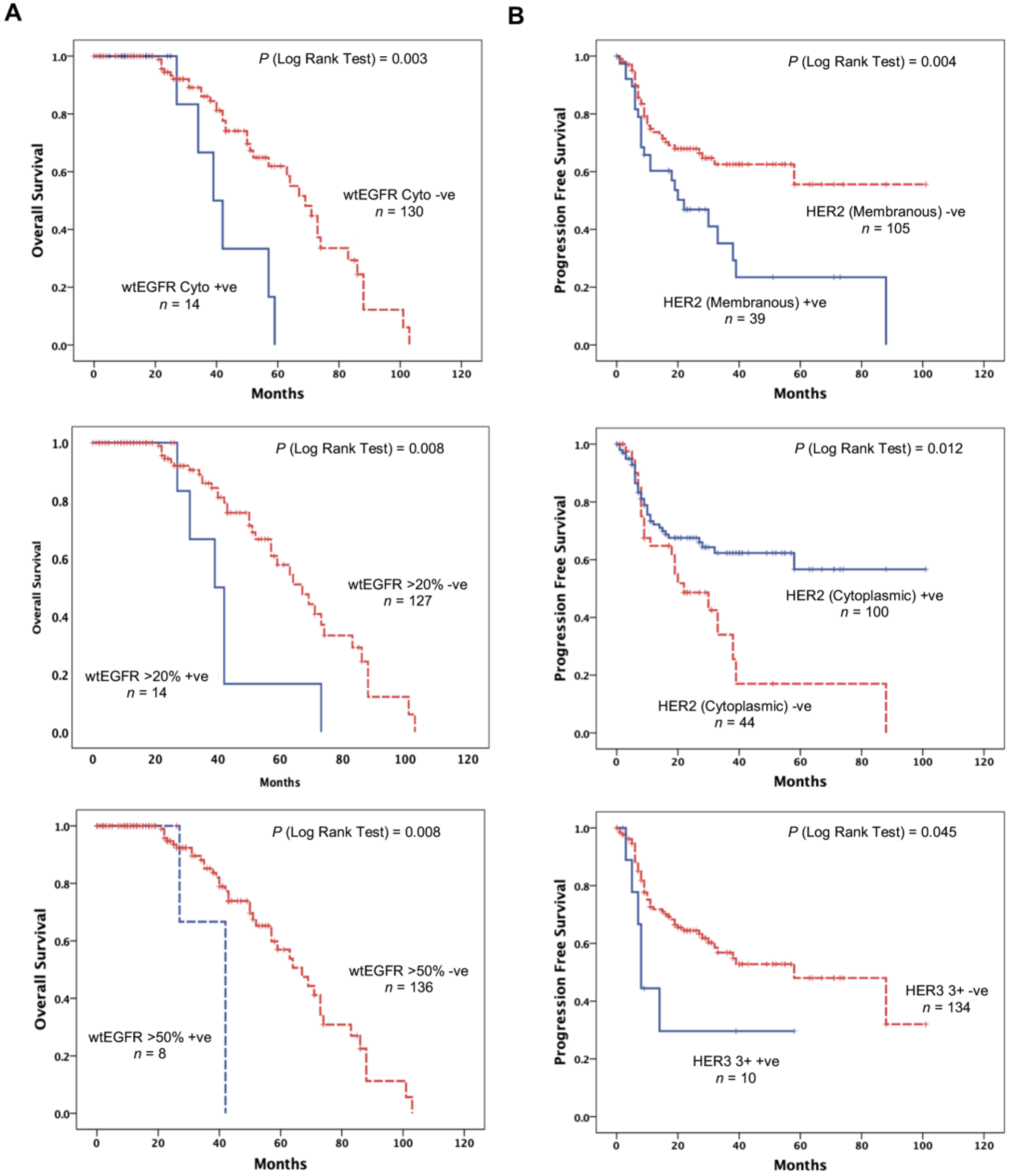 Cancers 13 00638 g002