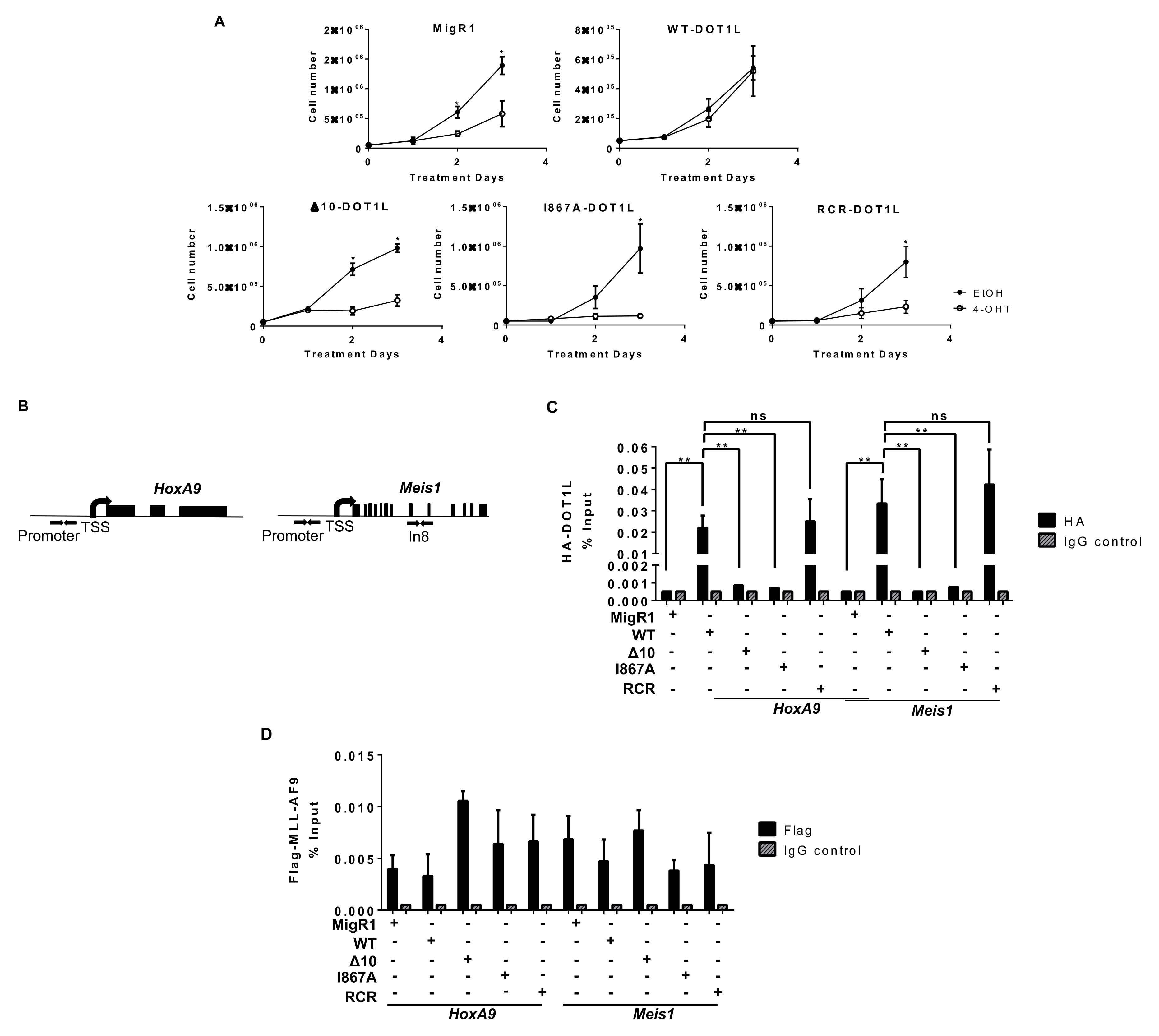 Cancers 13 00642 g002 Cancers 13 00642 g002