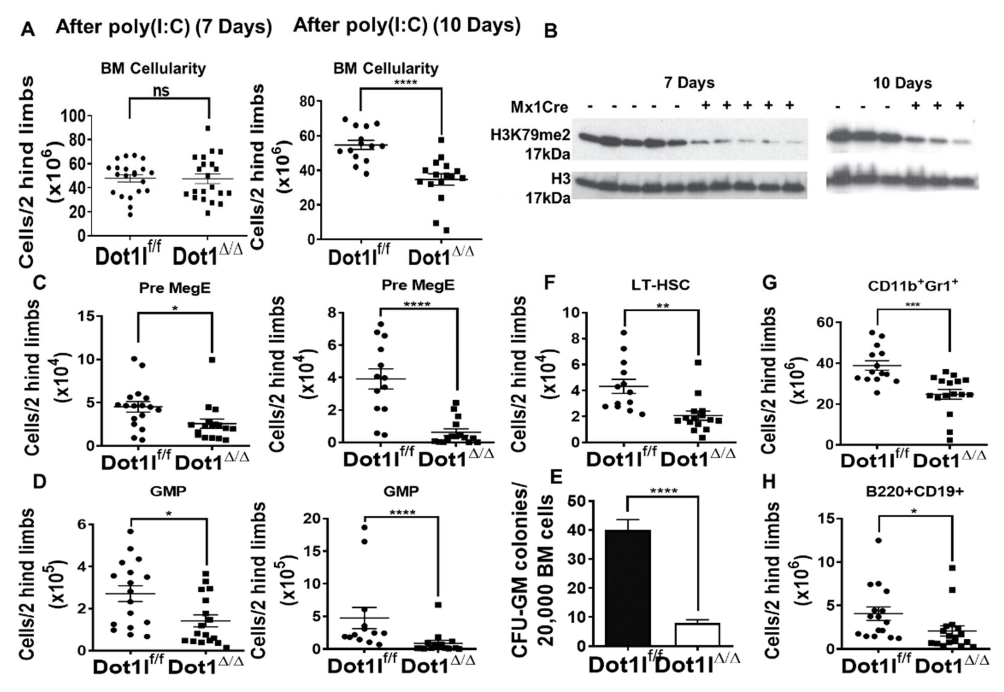 Cancers 13 00642 g004 Cancers 13 00642 g004