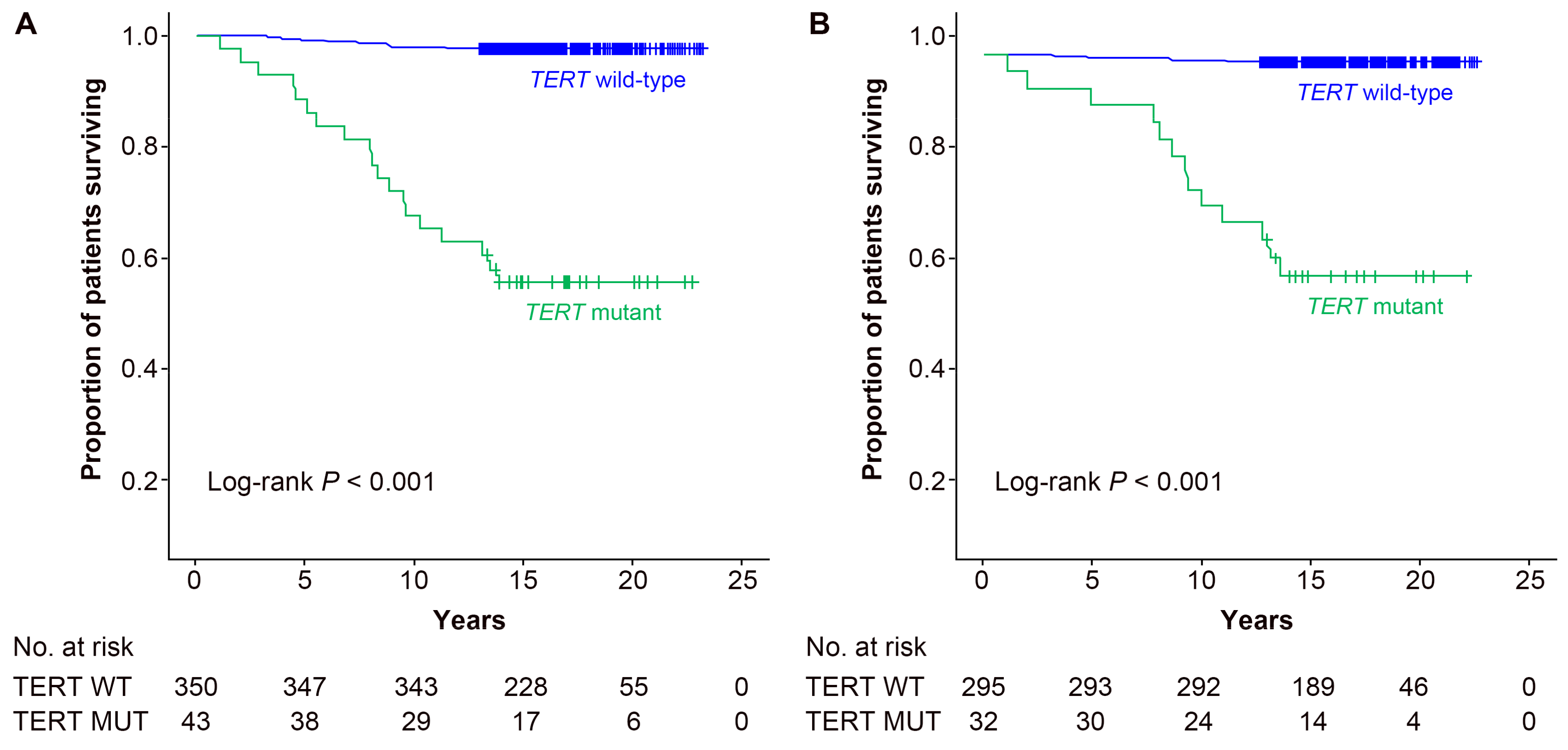 Cancers 13 00648 g001