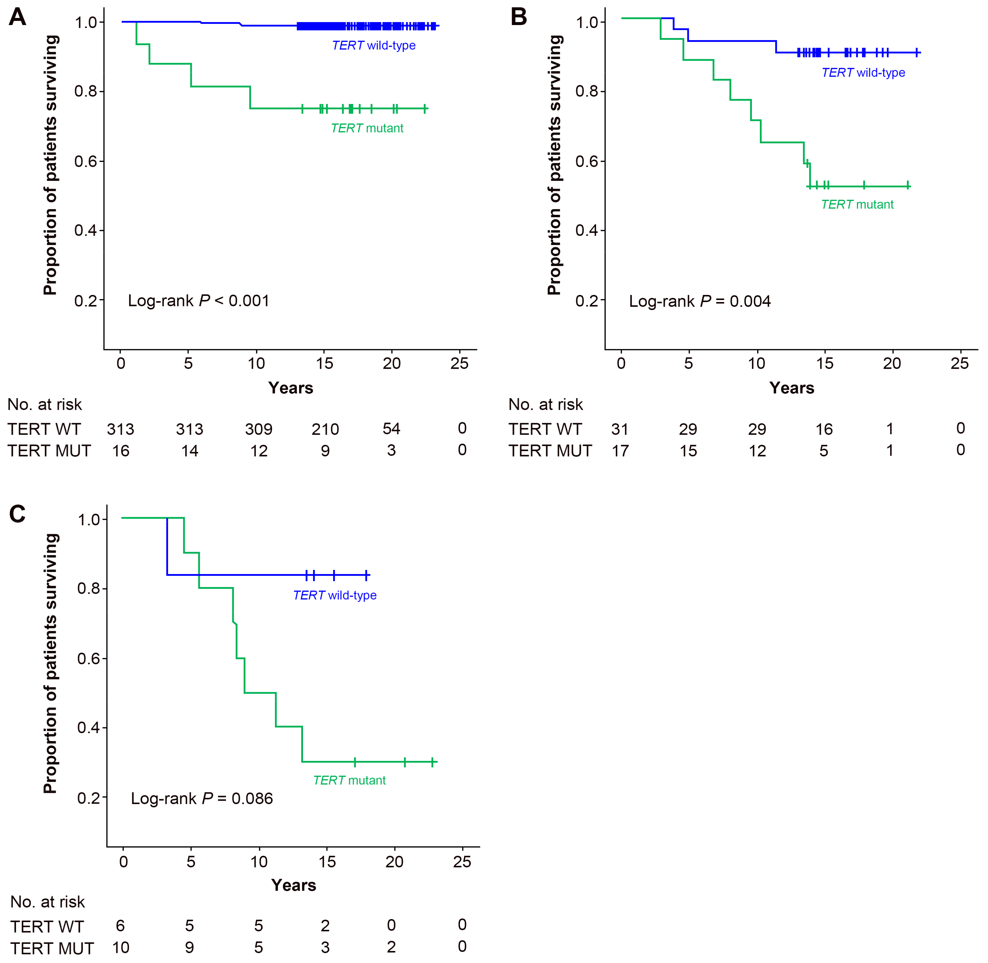 Cancers 13 00648 g002