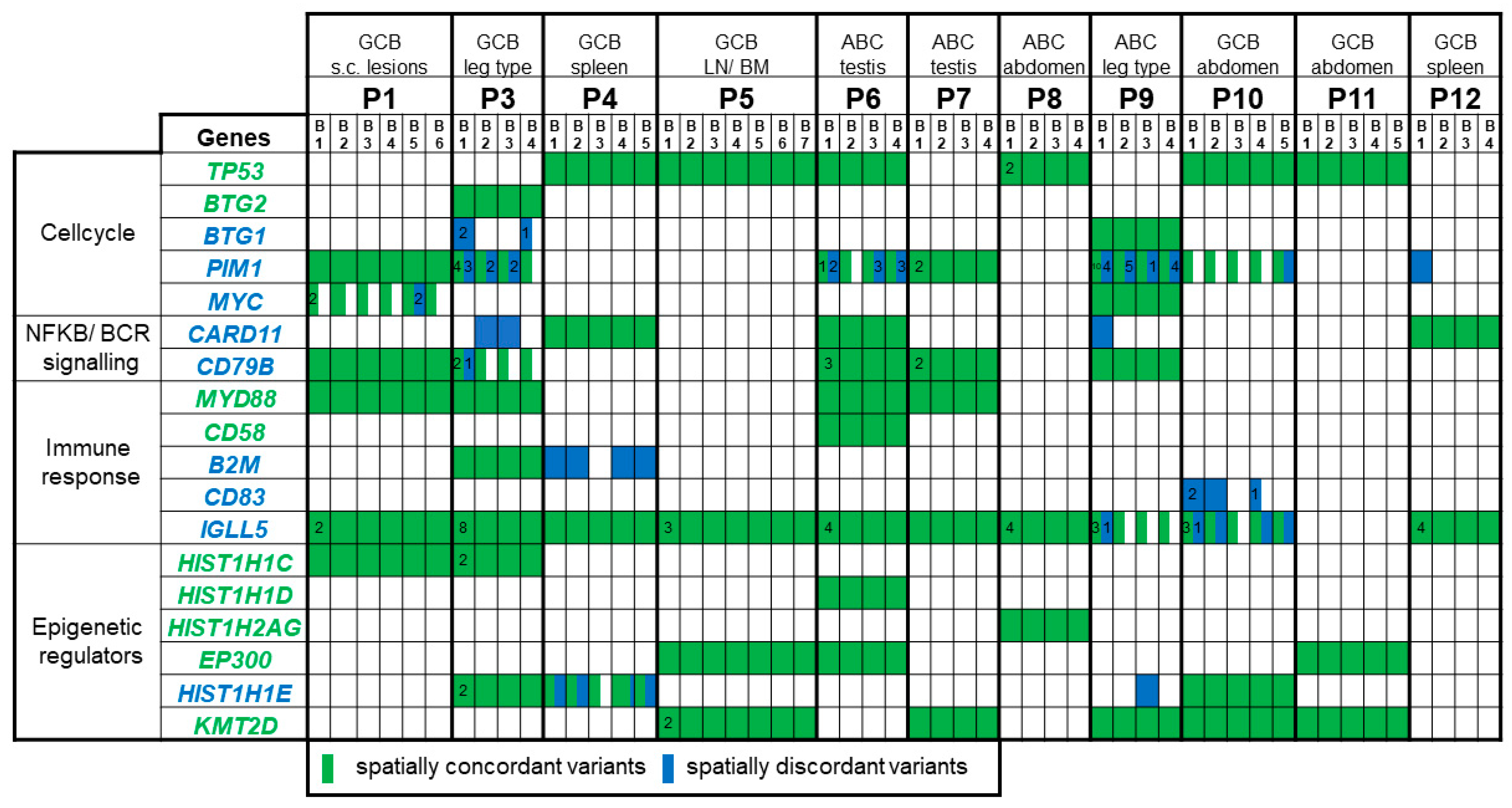 Cancers 13 00650 g002