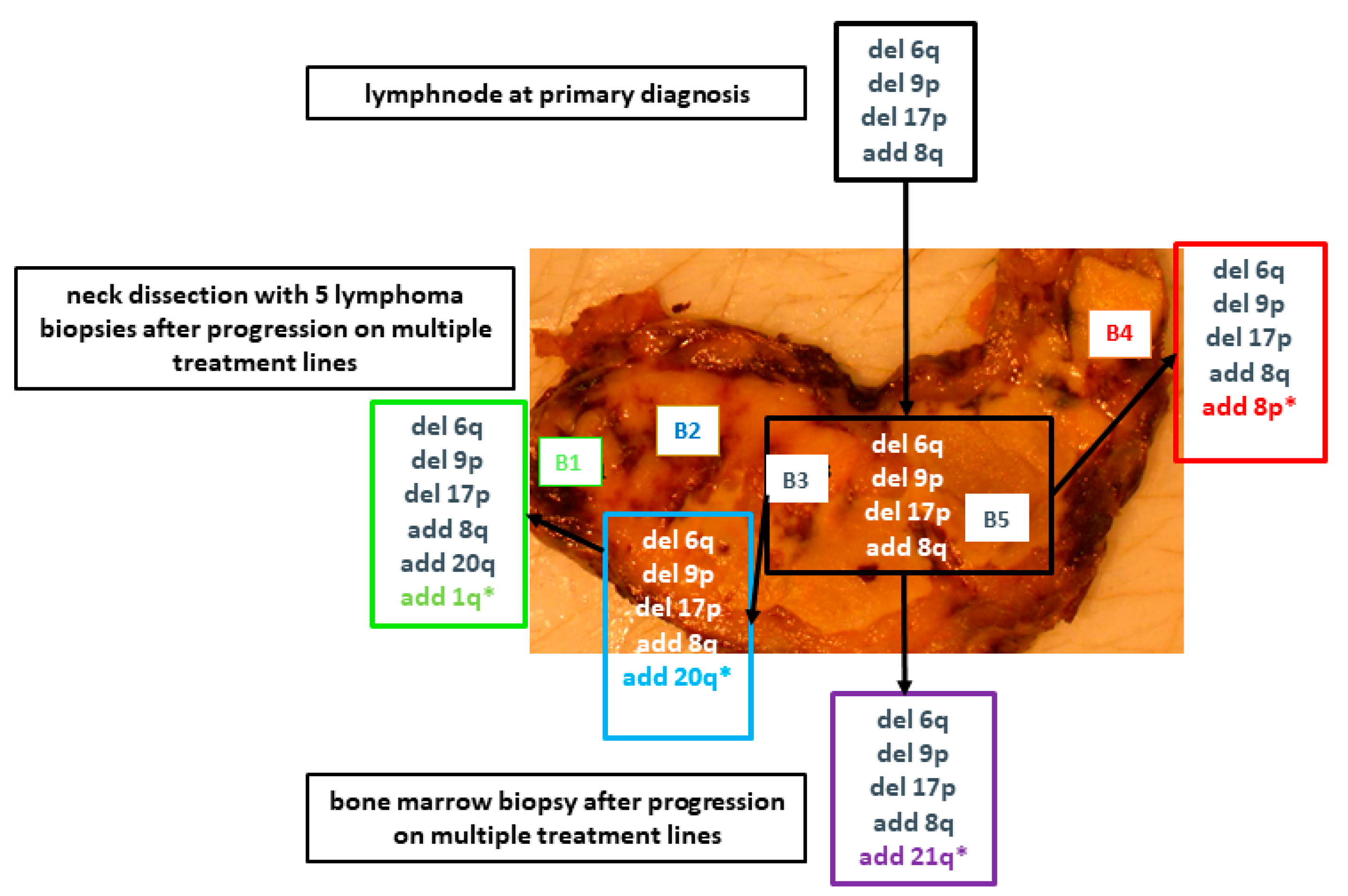 Cancers 13 00650 g004