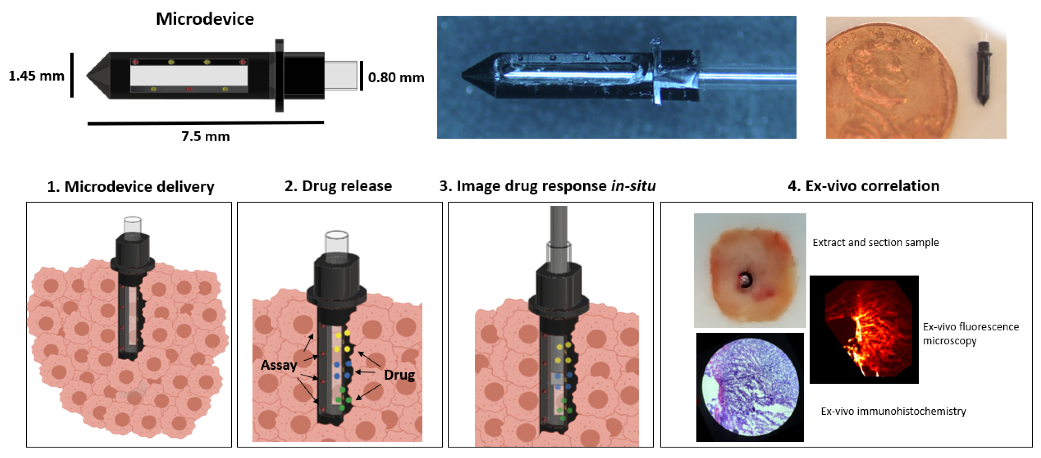 Cancers 13 00653 g001