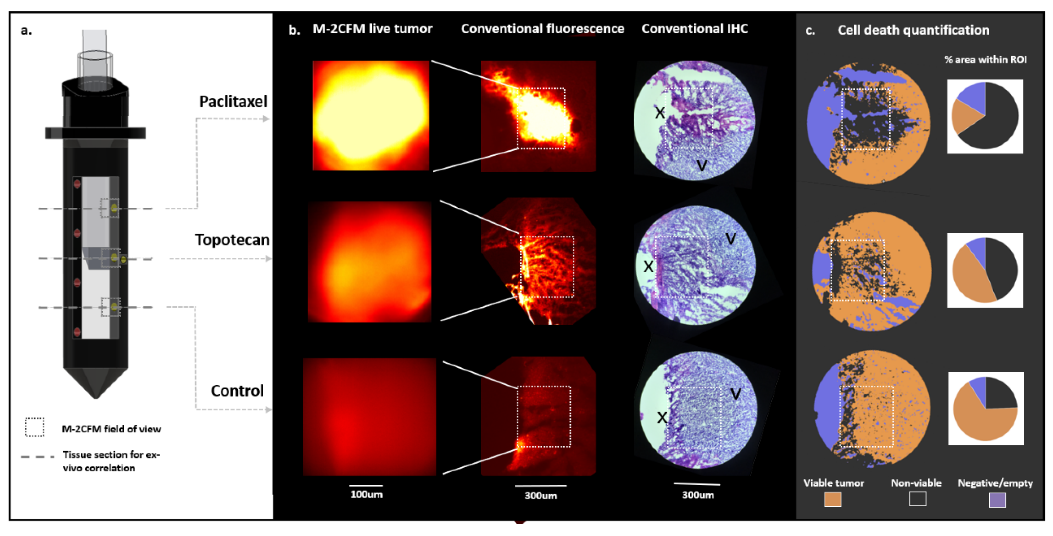 Cancers 13 00653 g006