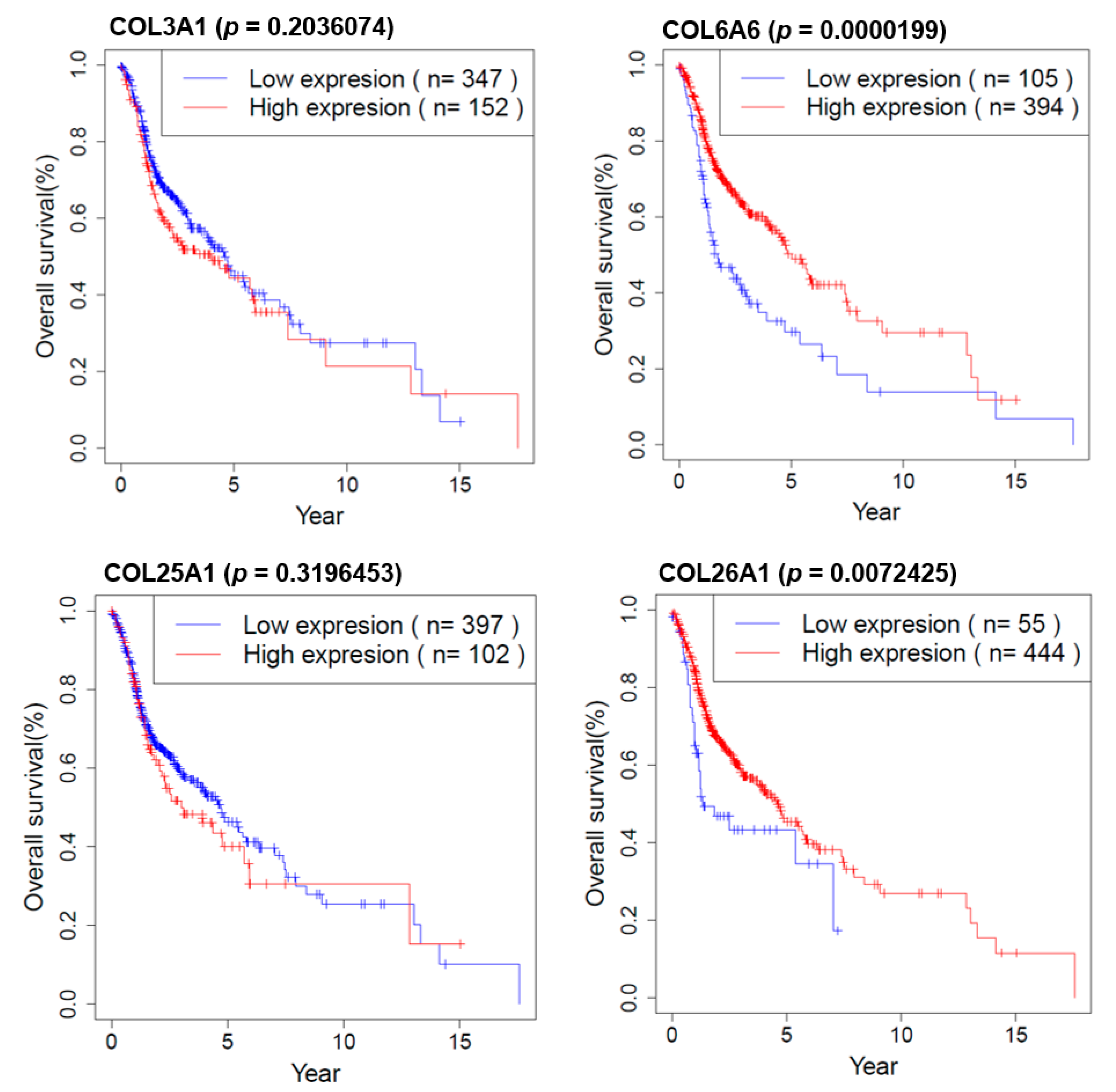 Cancers 13 00654 g008