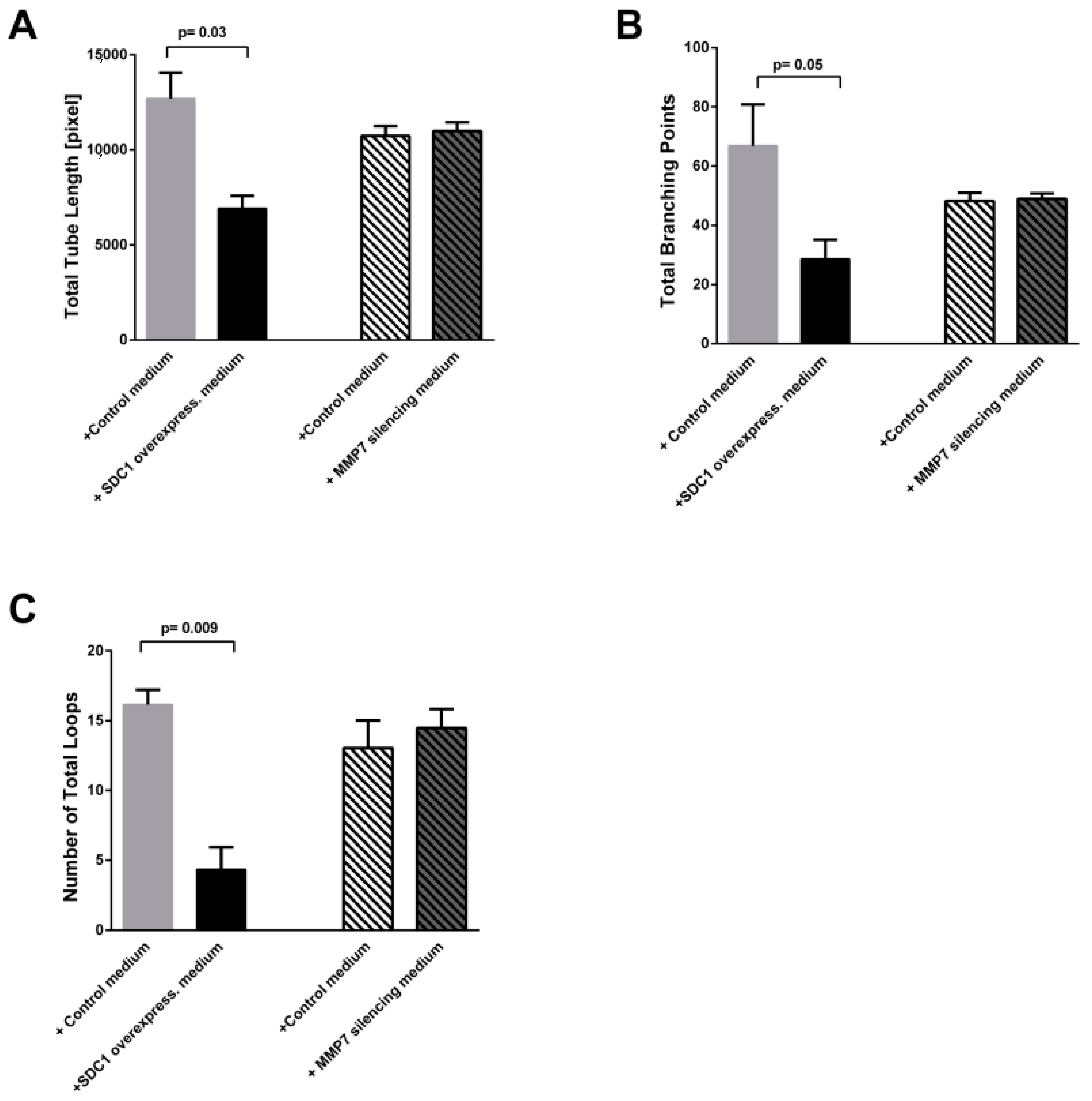 Cancers 13 00655 g005