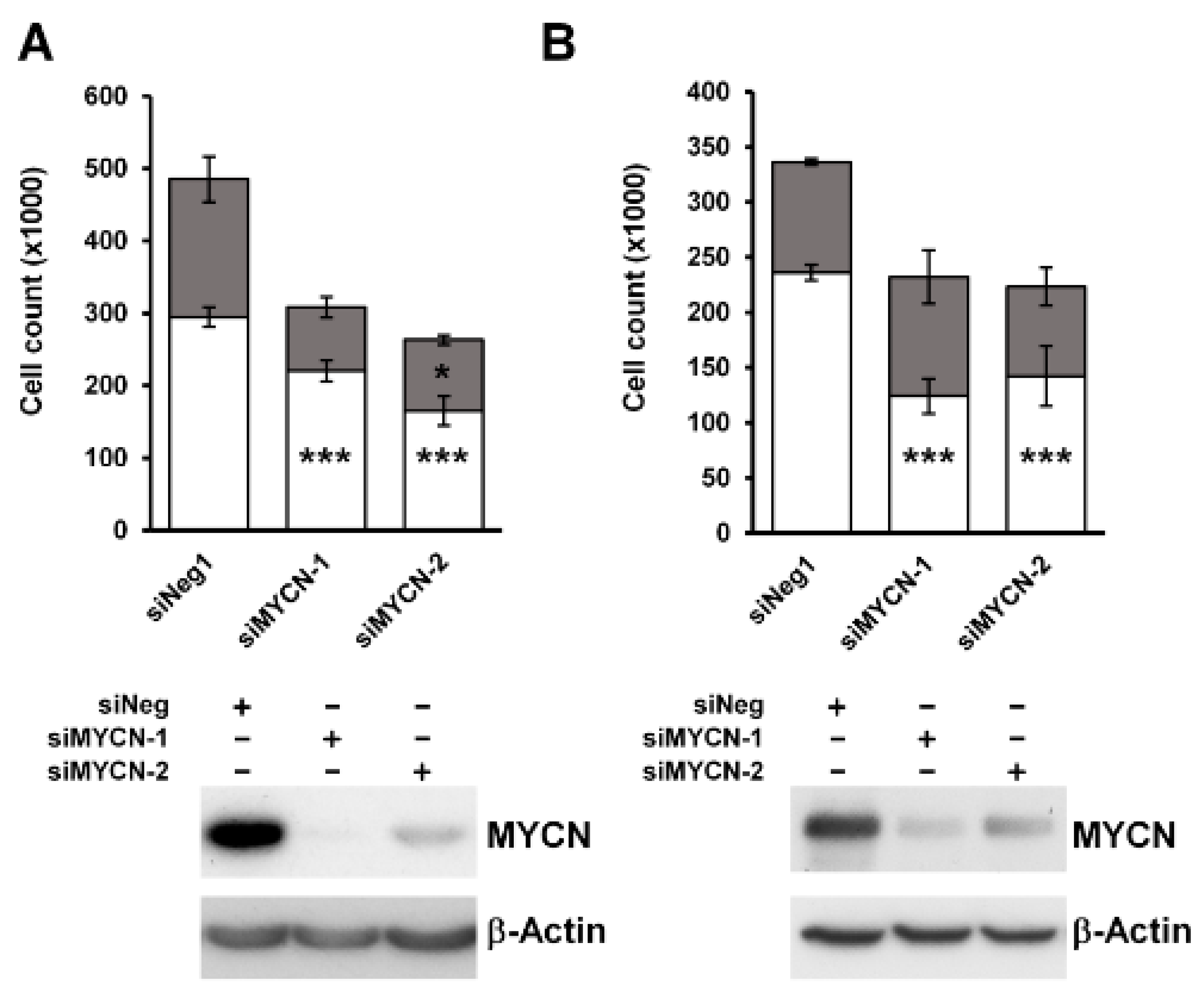 Cancers 13 00656 g002 Cancers 13 00656 g002
