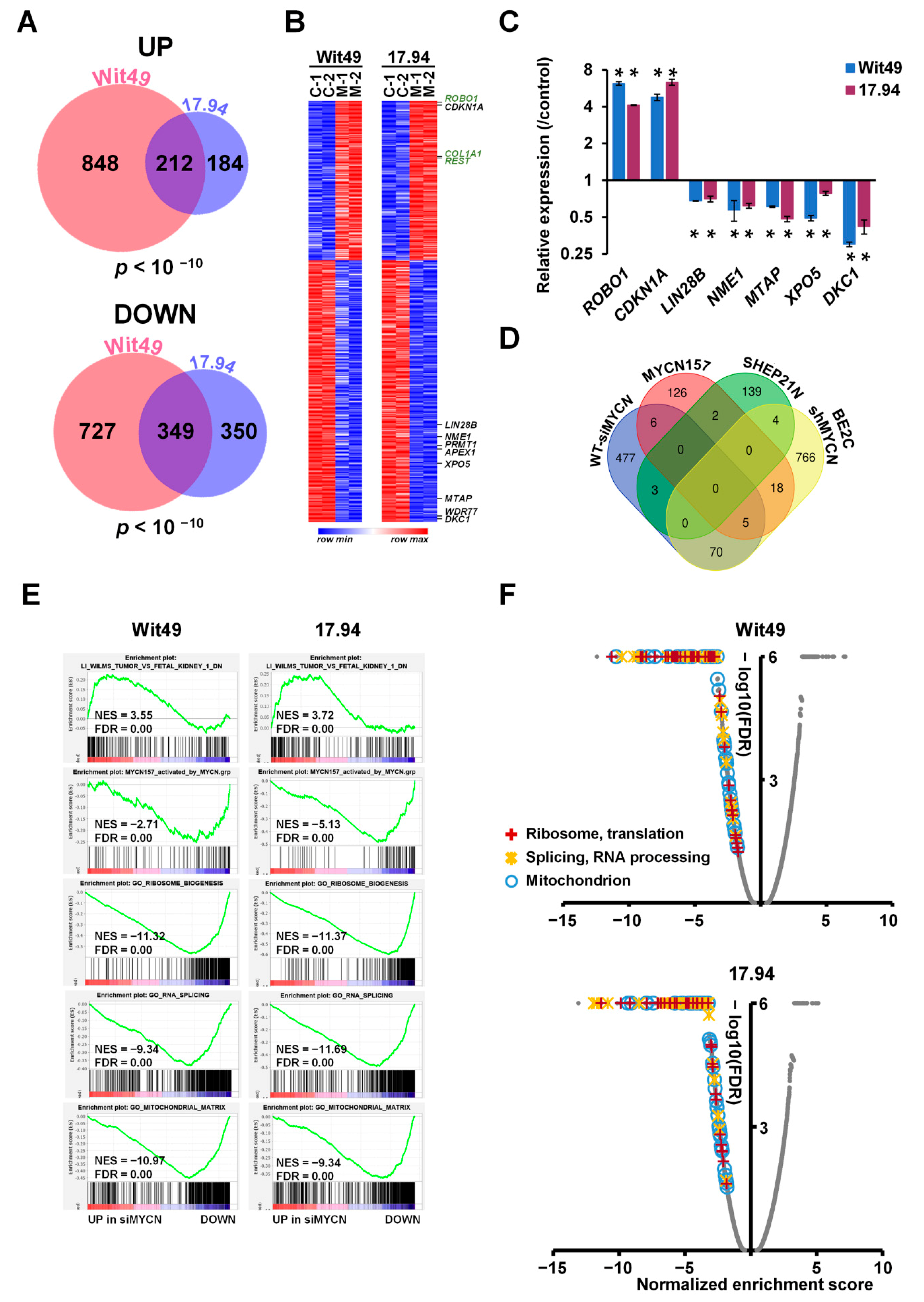 Cancers 13 00656 g003 Cancers 13 00656 g003