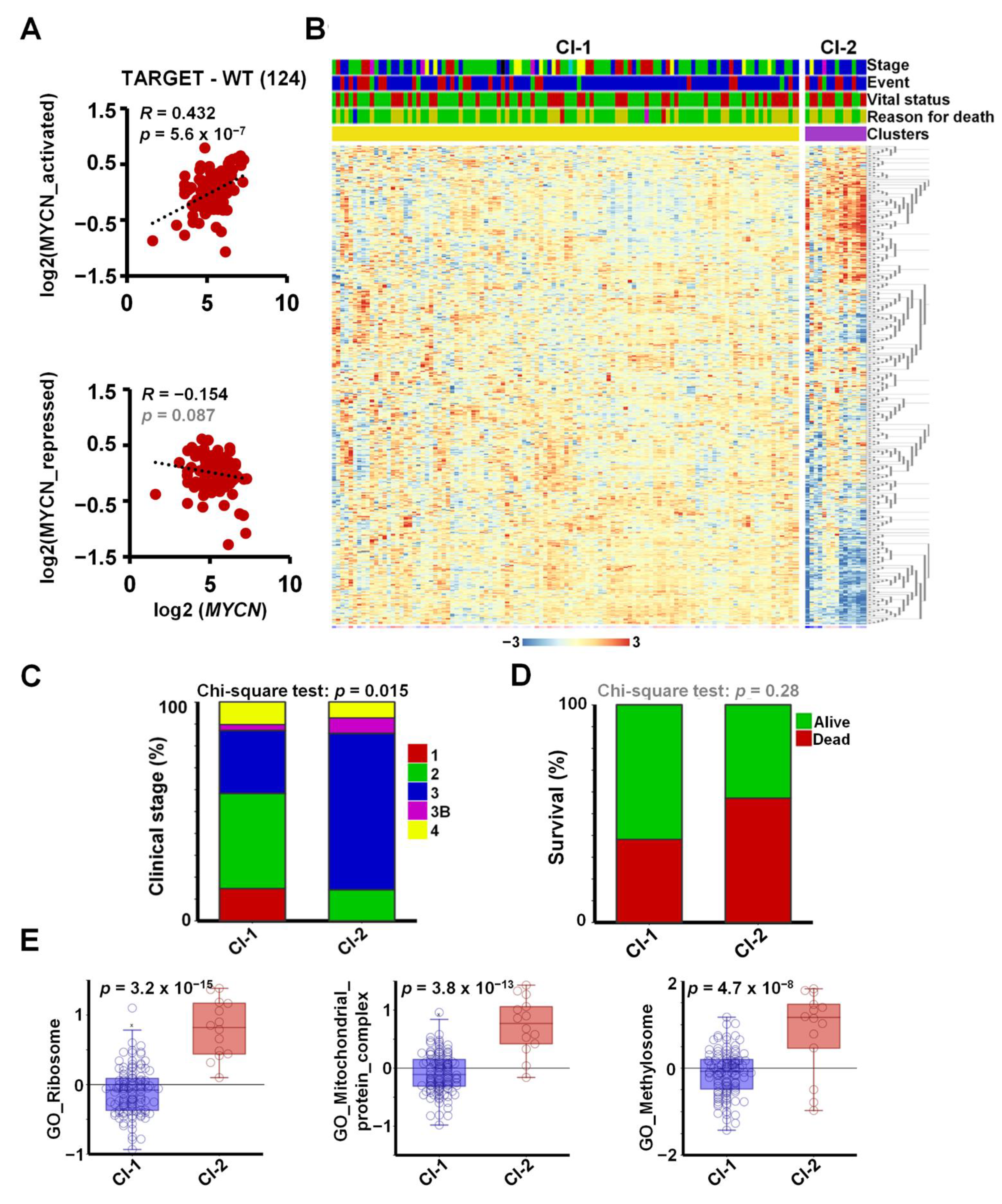 Cancers 13 00656 g004 Cancers 13 00656 g004