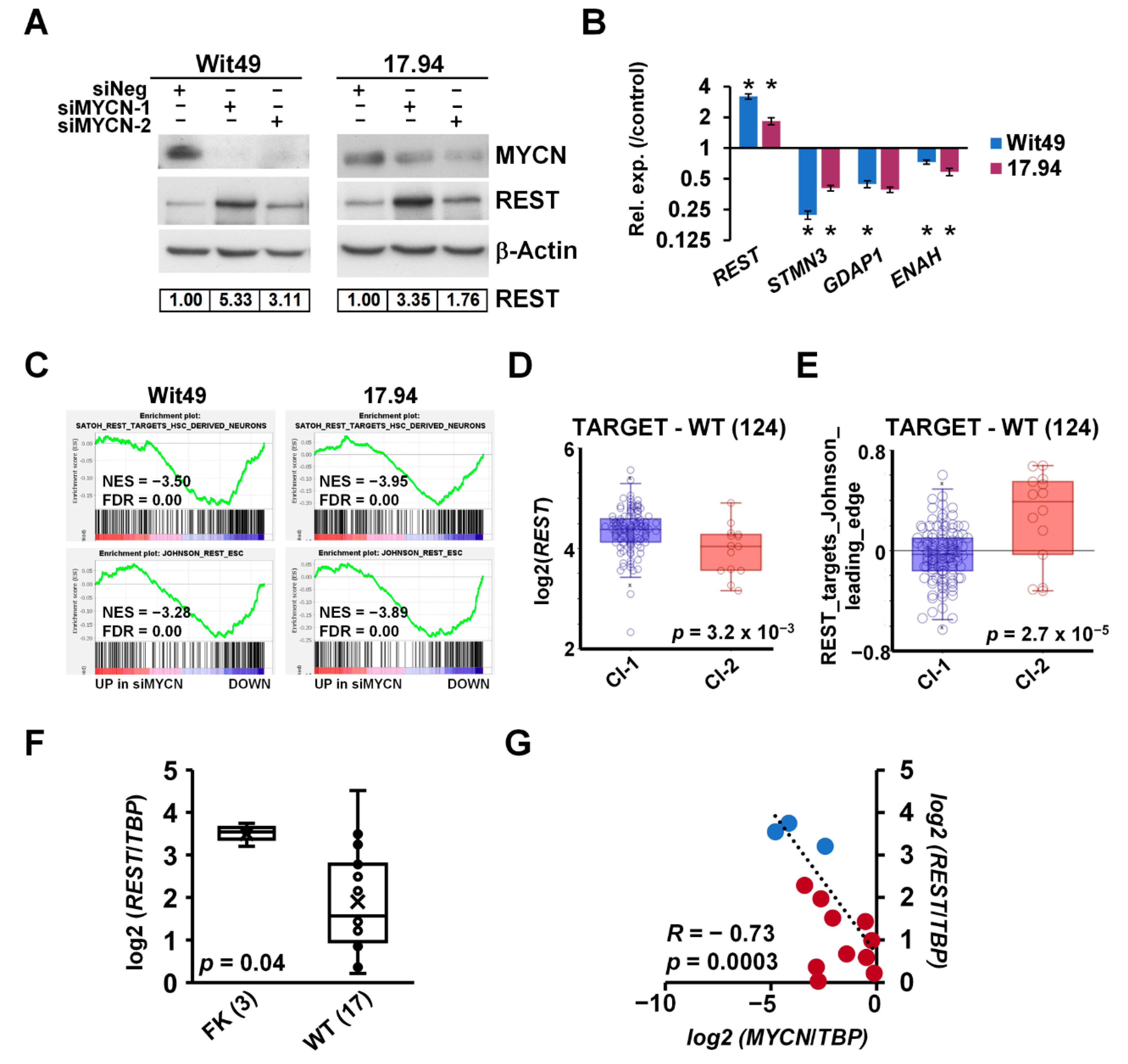 Cancers 13 00656 g007 Cancers 13 00656 g007