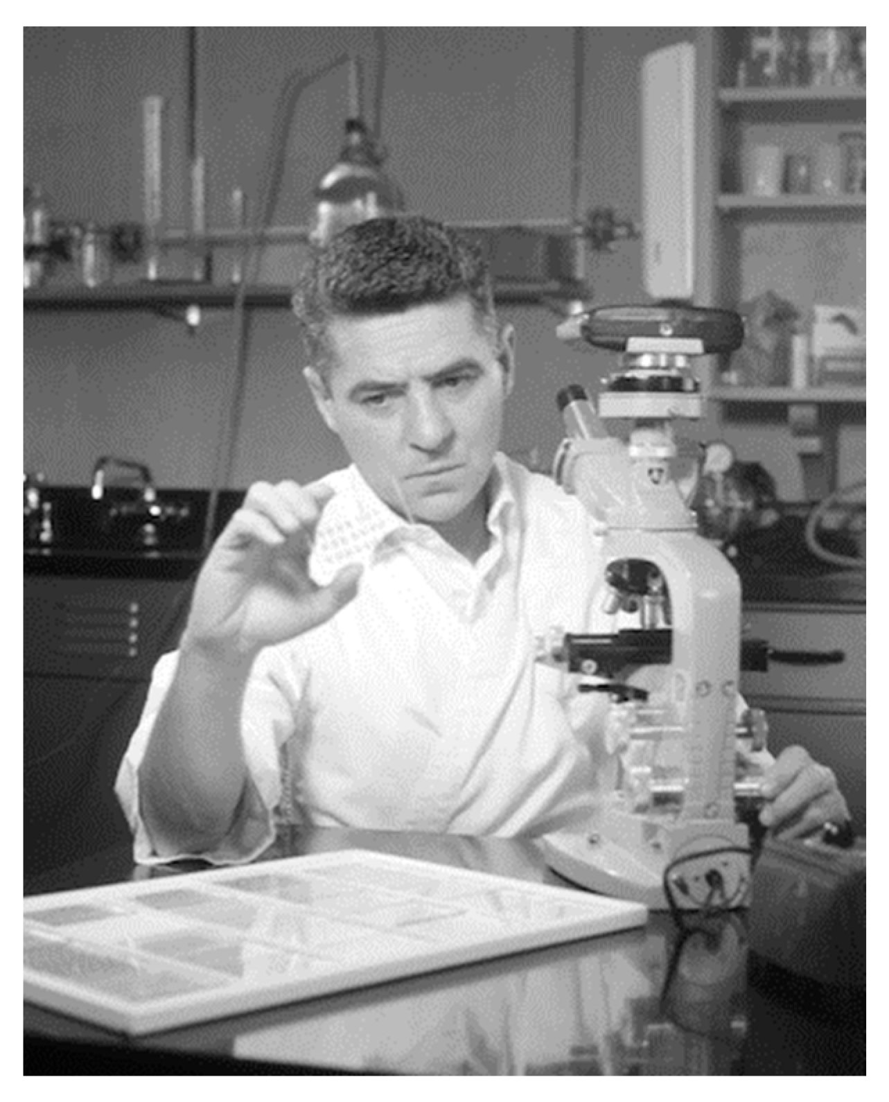 Cancers 13 00660 g002