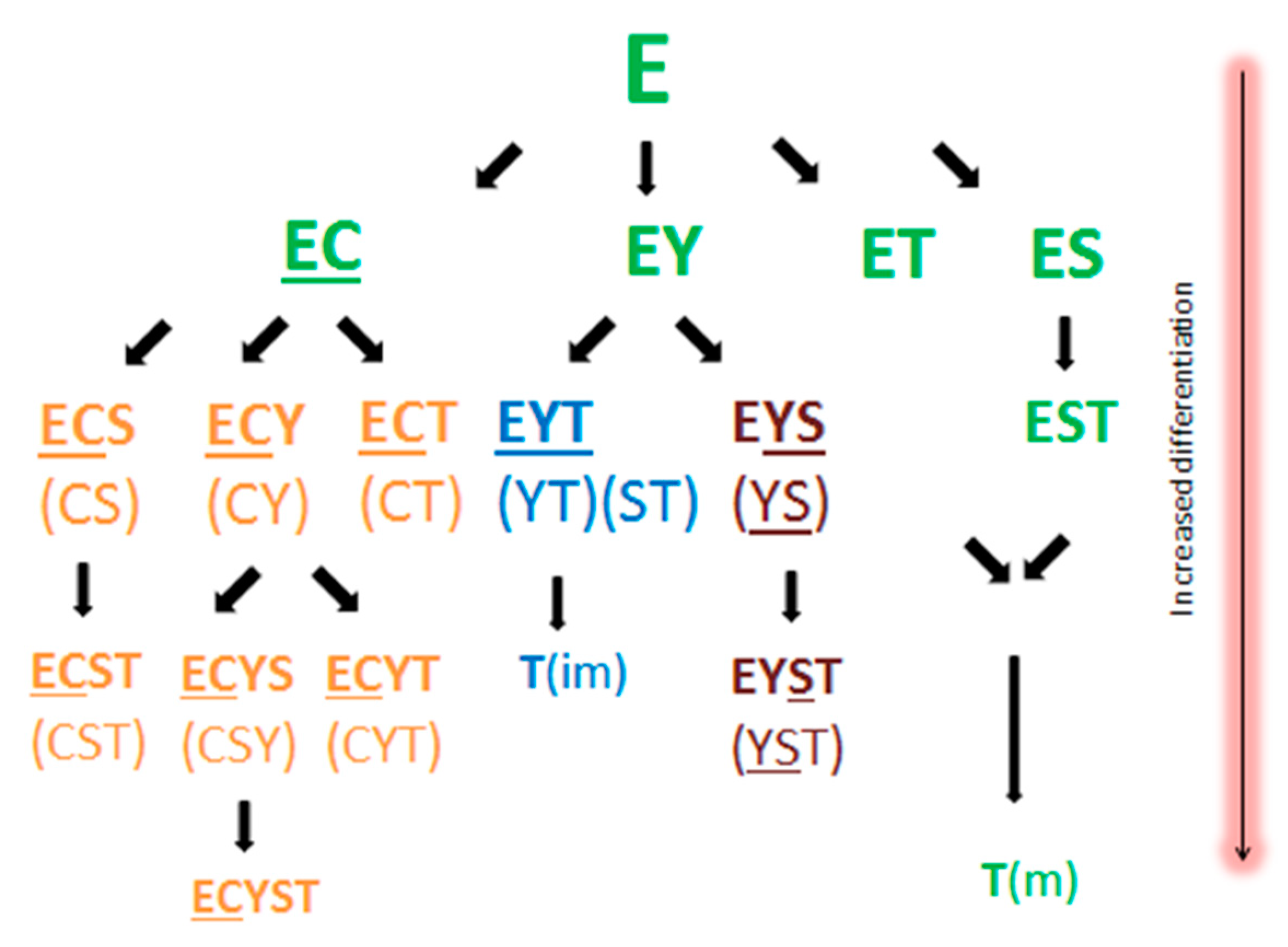 Cancers 13 00660 g003