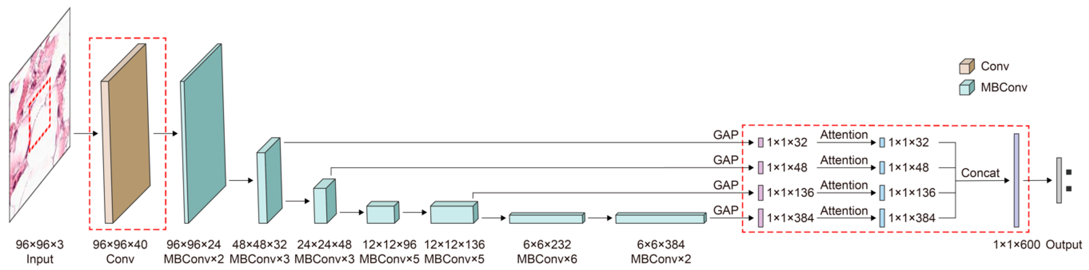 Cancers 13 00661 g005