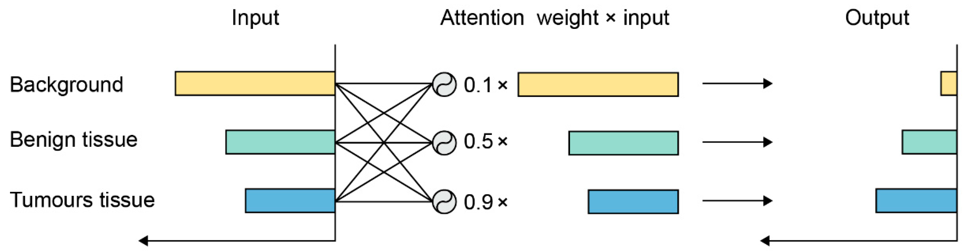 Cancers 13 00661 g006