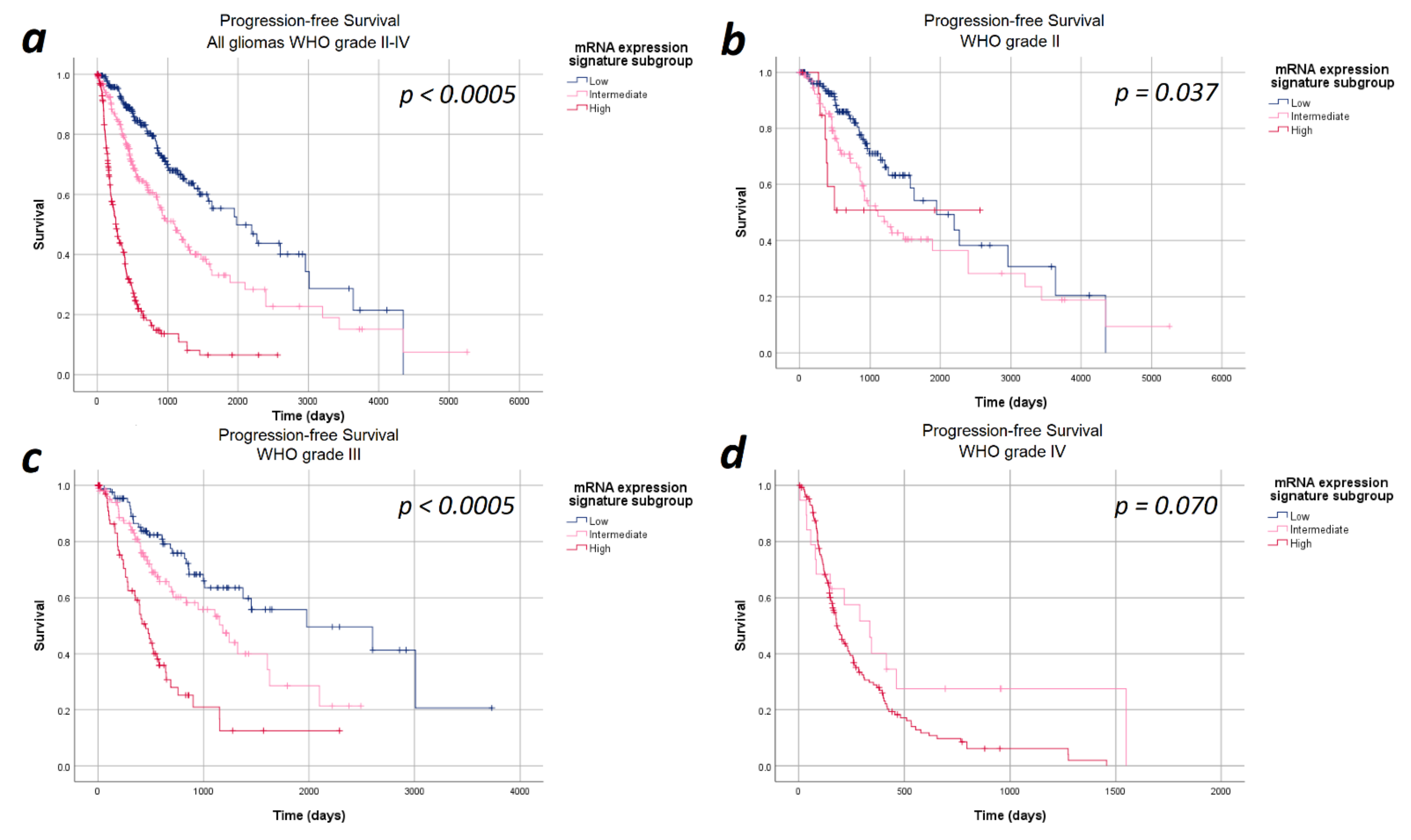 Cancers 13 00662 g001
