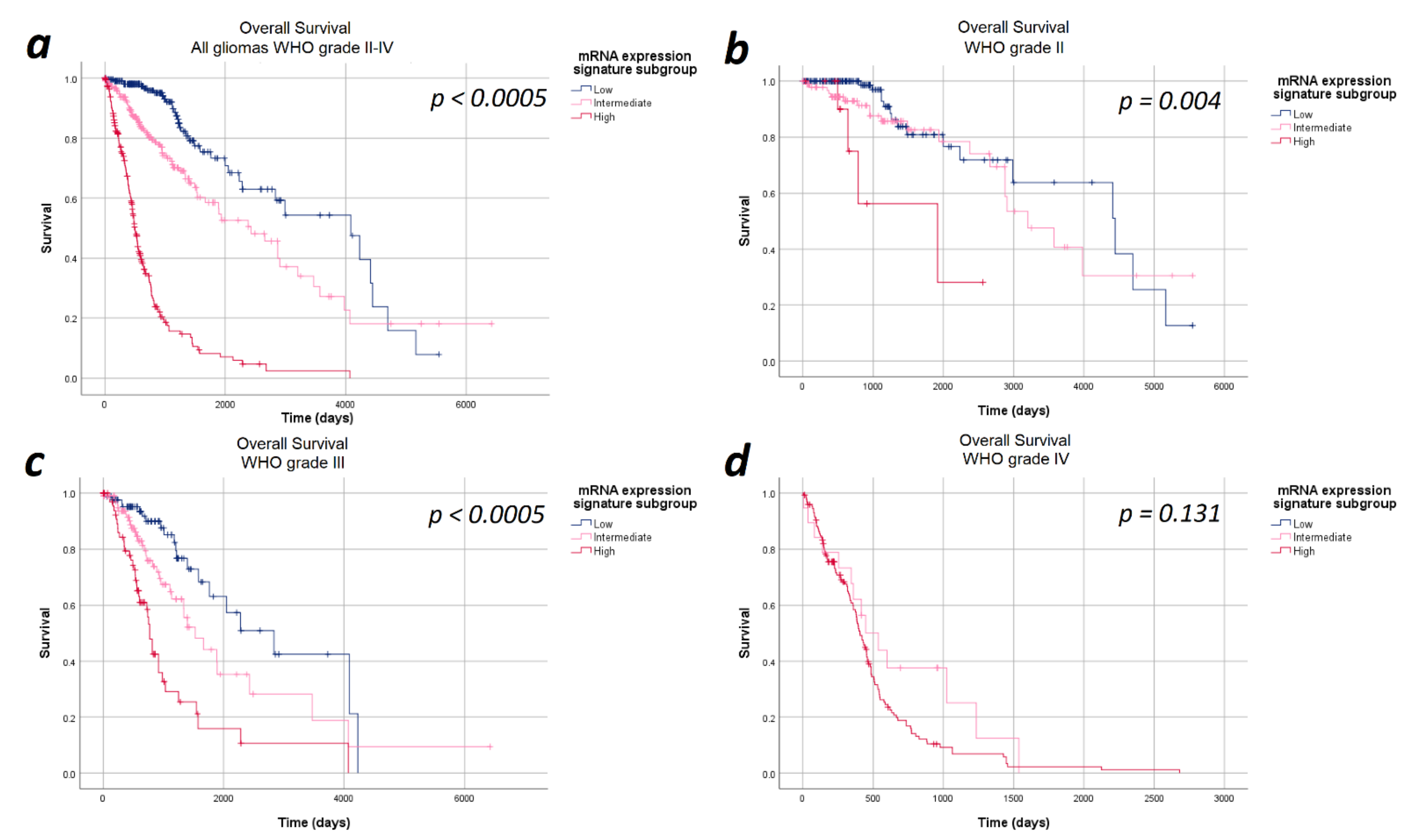 Cancers 13 00662 g002