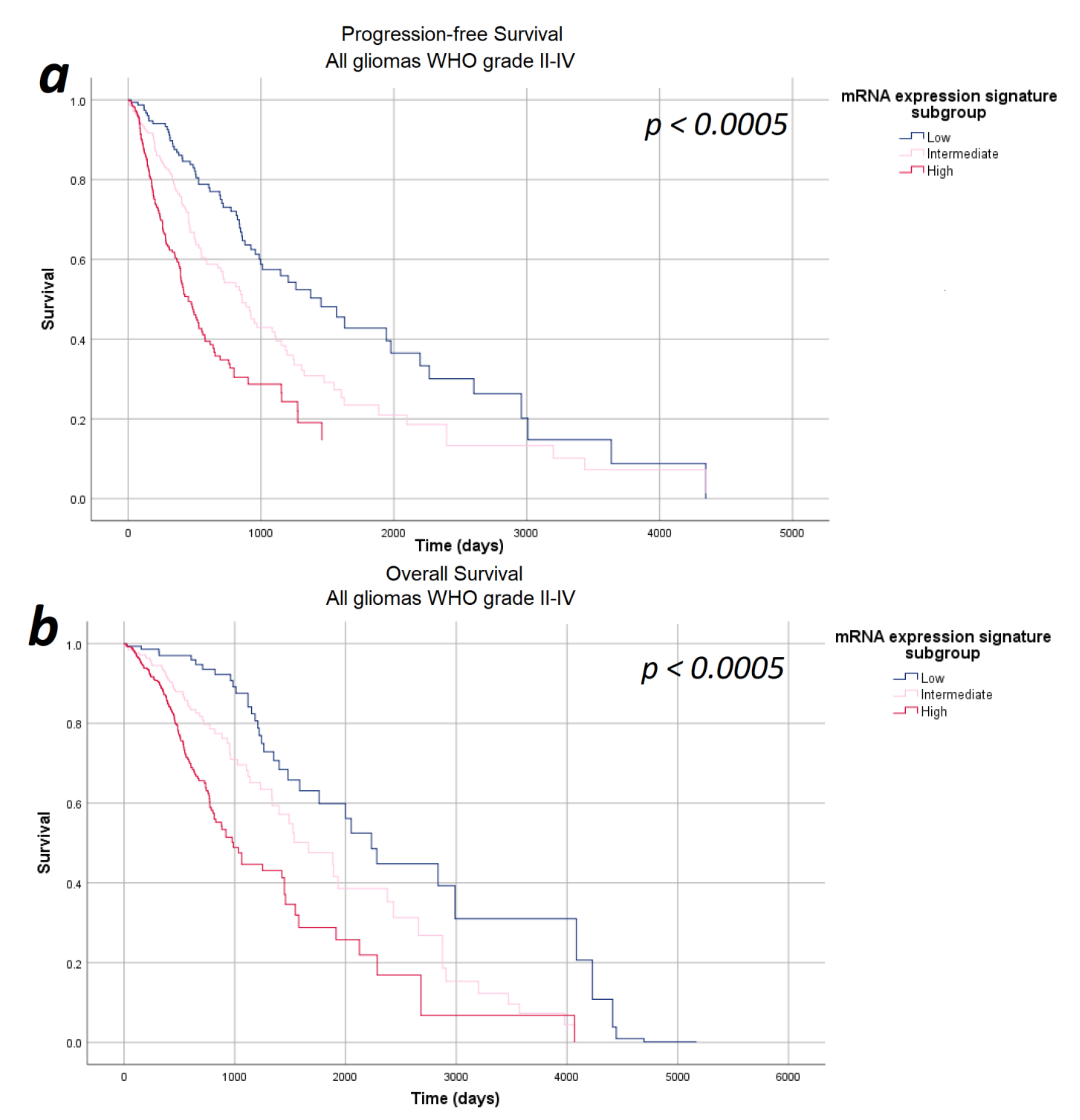 Cancers 13 00662 g003