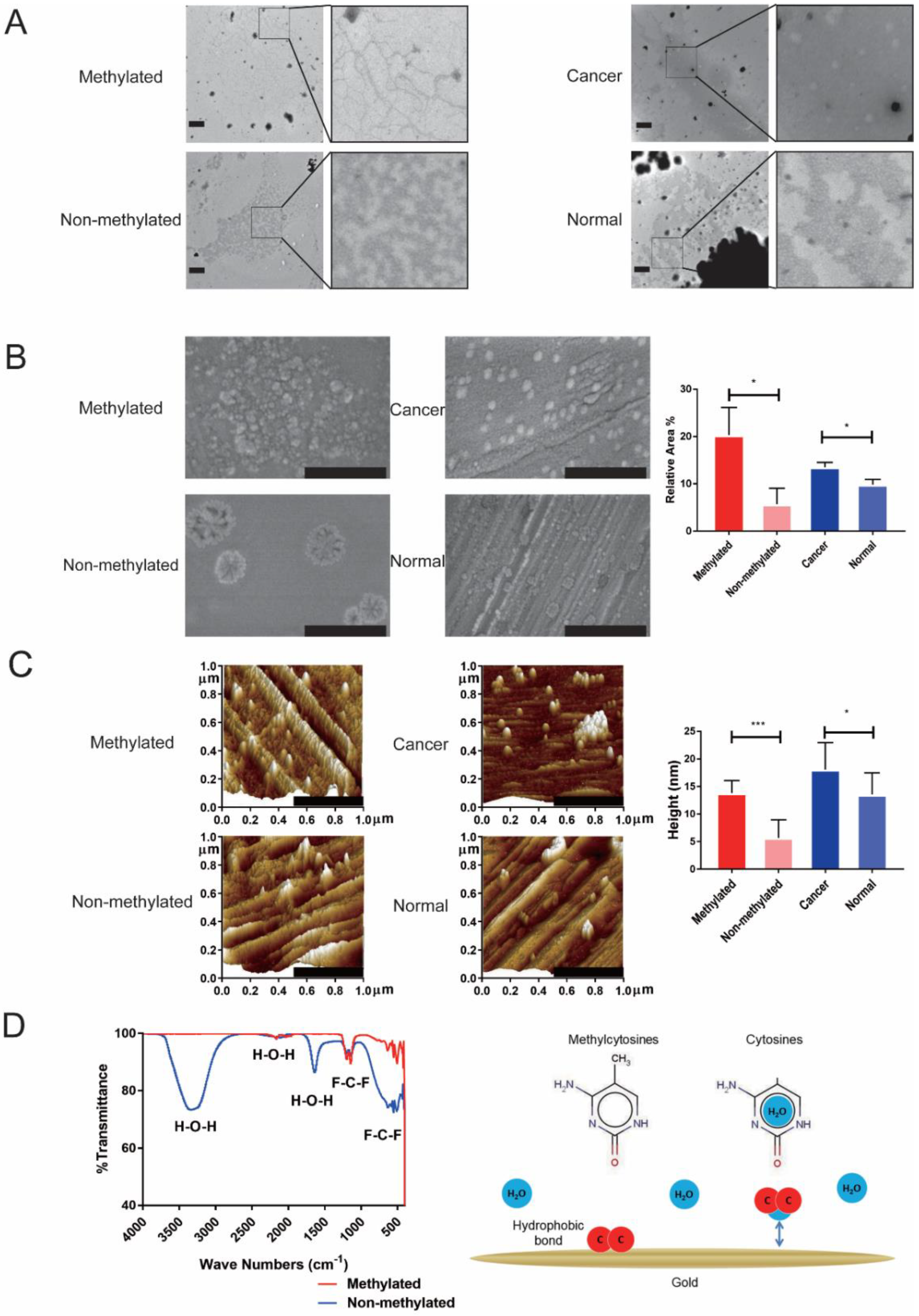 Cancers 13 00664 g001 Cancers 13 00664 g001