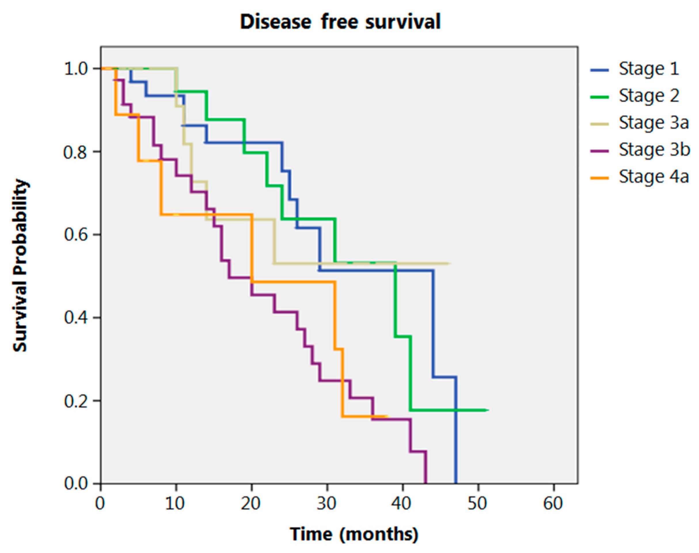 Cancers 13 00666 g003