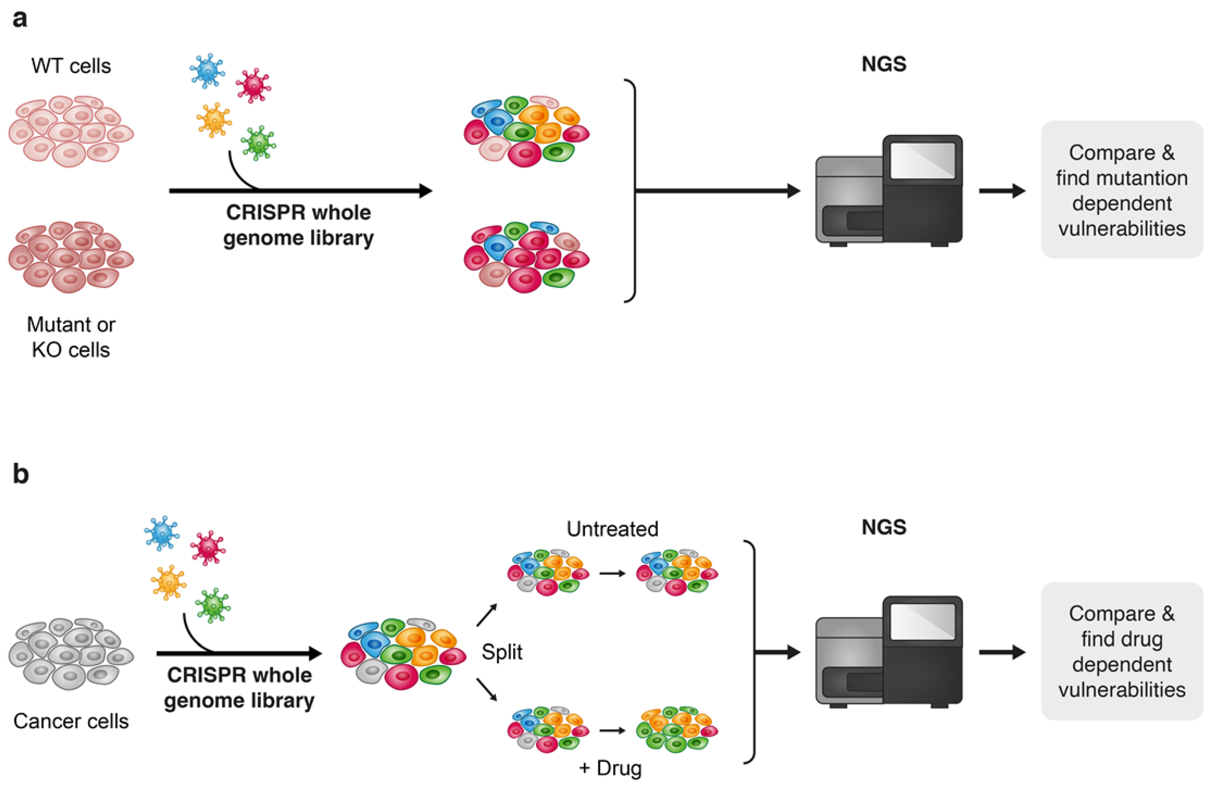 Cancers 13 00669 g007