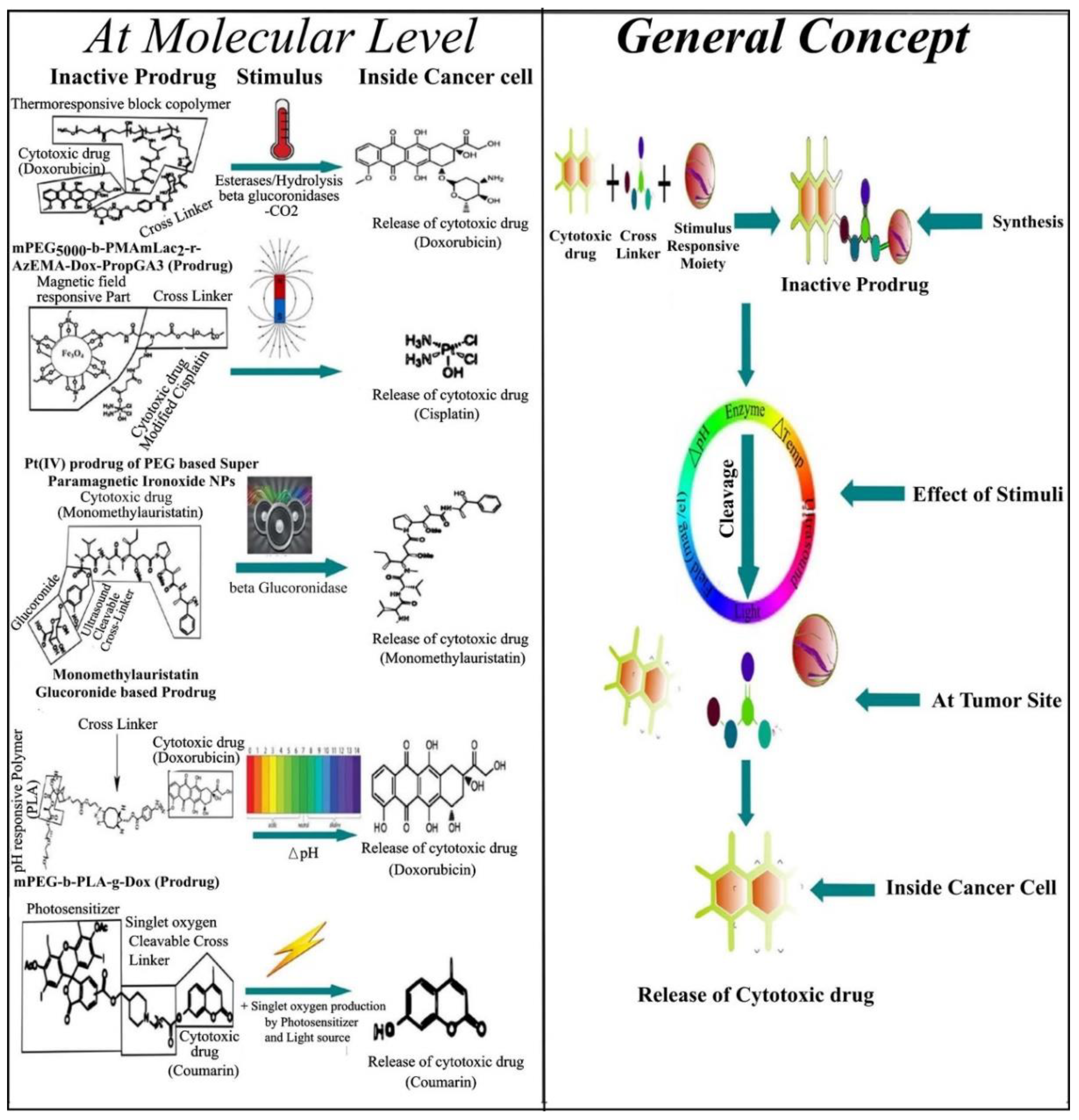 Cancers 13 00670 g005