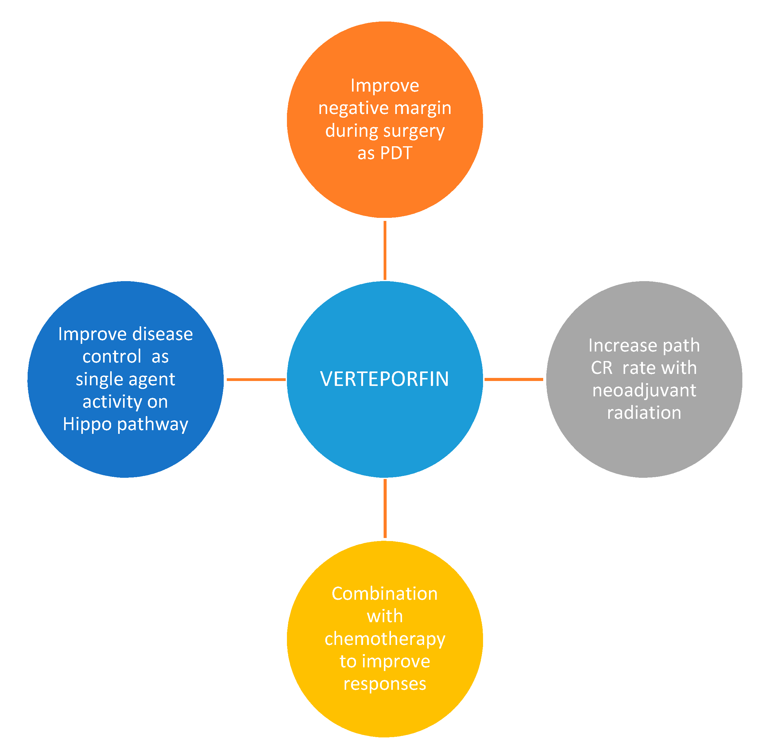 Cancers 13 00675 g003