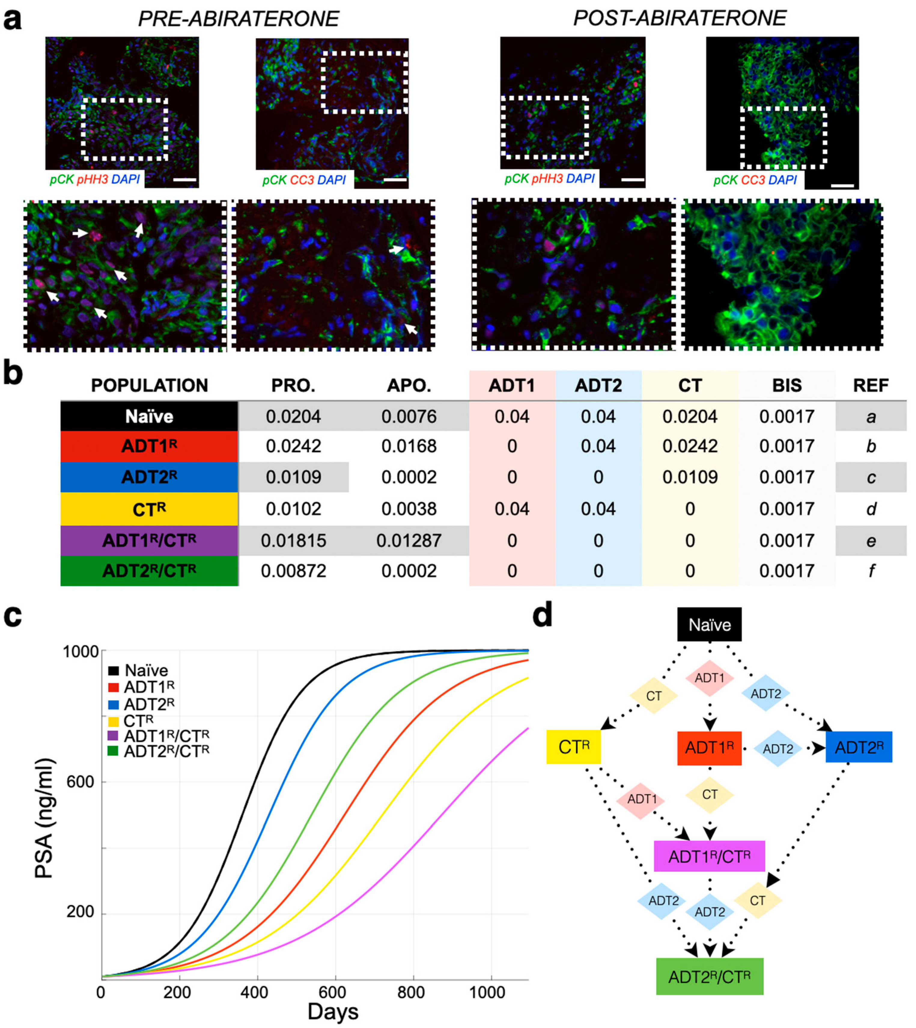 Cancers 13 00677 g001