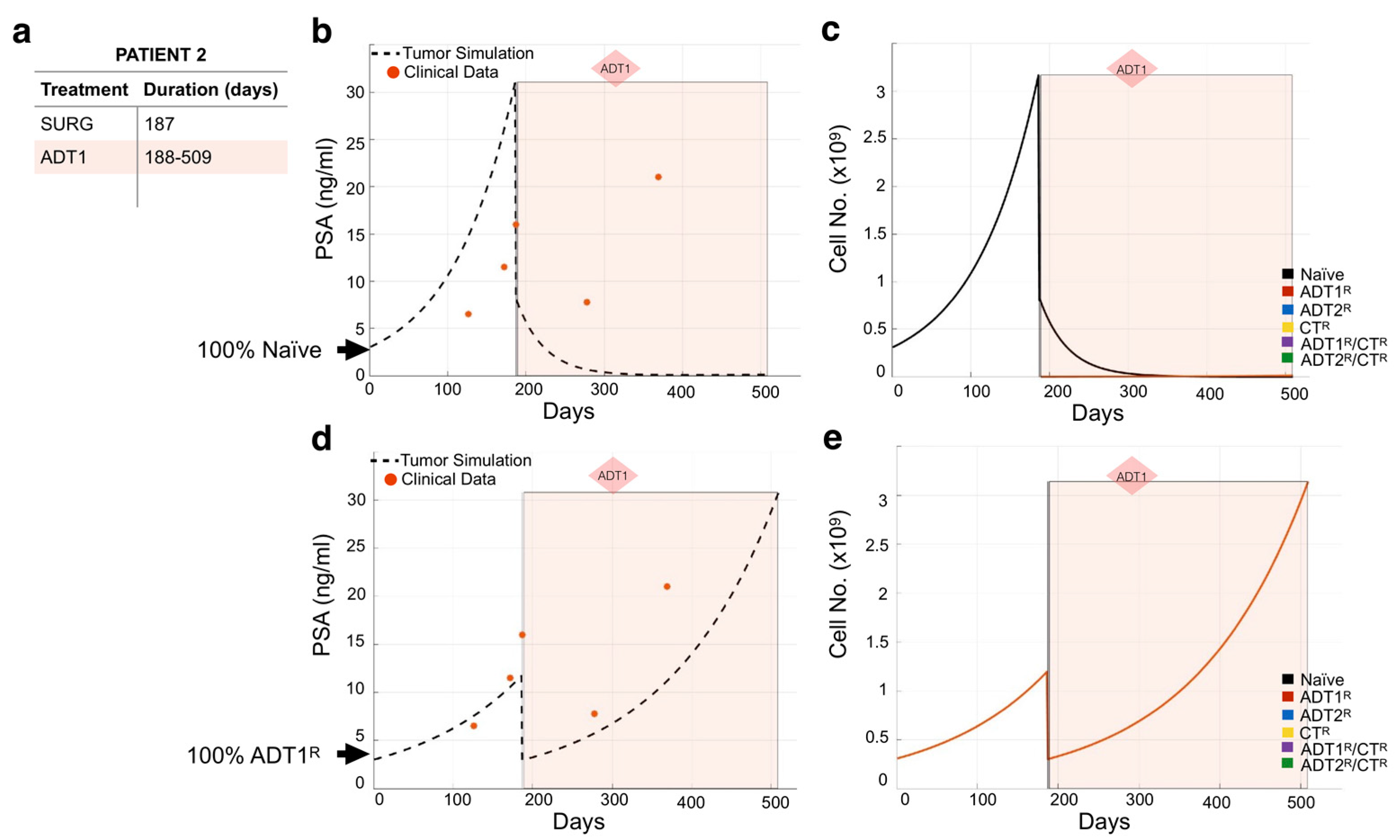 Cancers 13 00677 g004