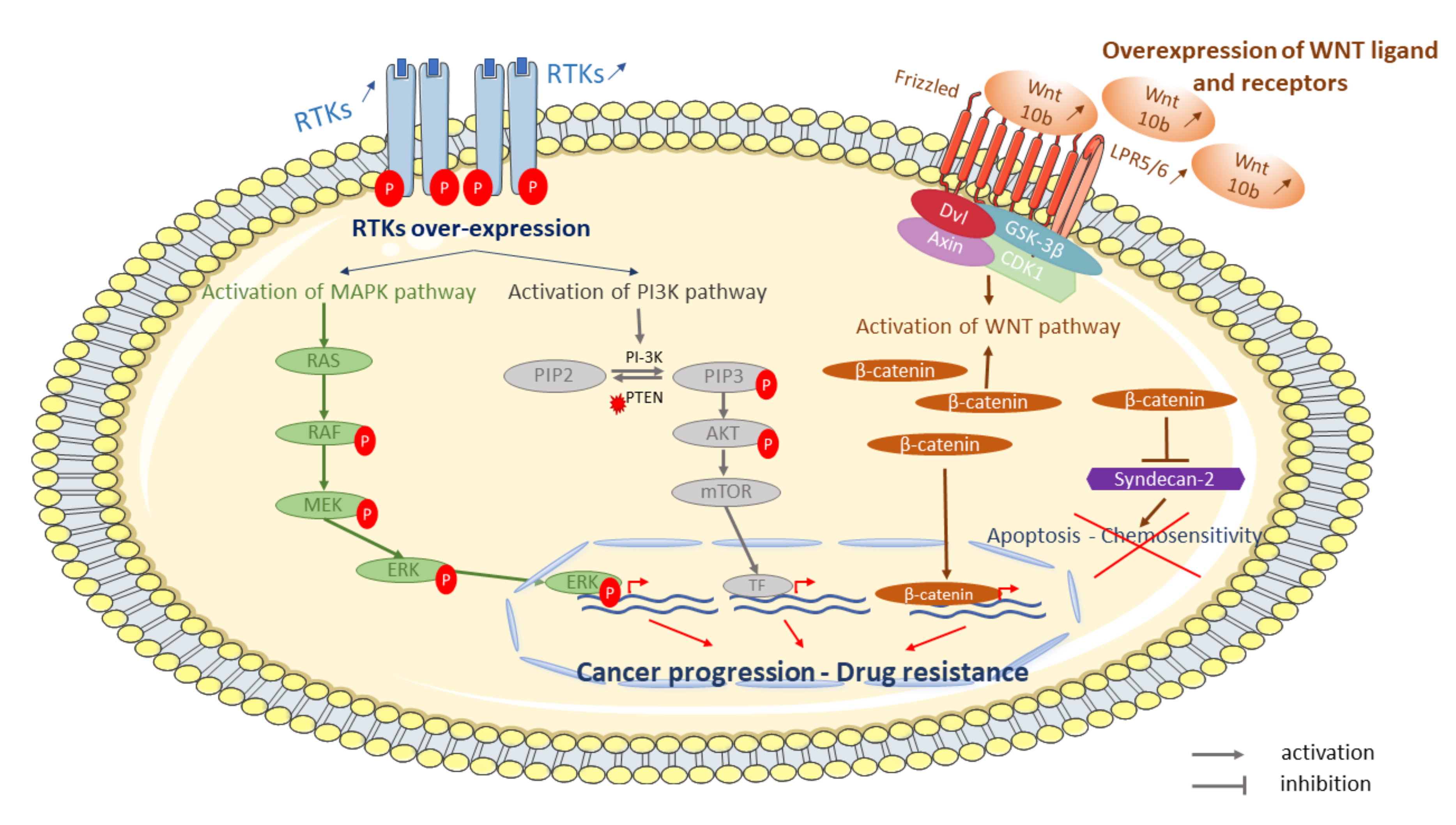 Cancers 13 00683 g002 Cancers 13 00683 g002