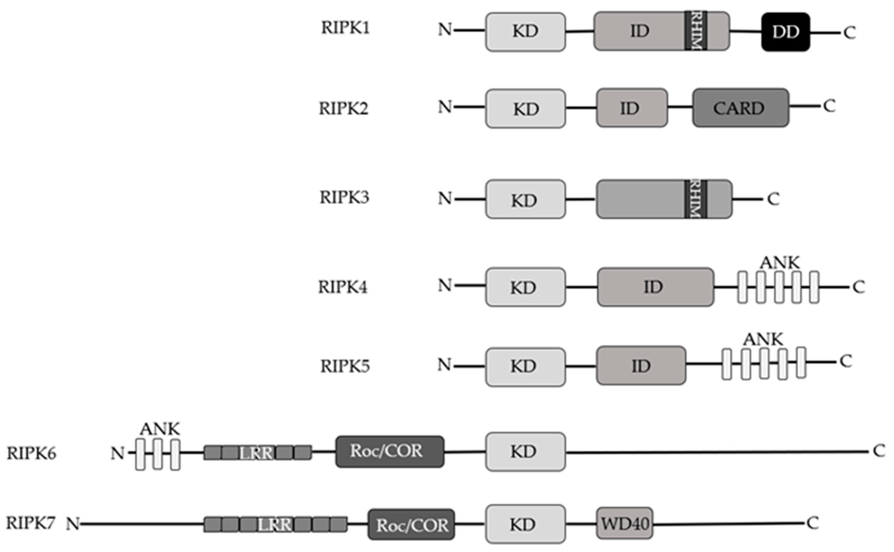 Cancers 13 00684 g002