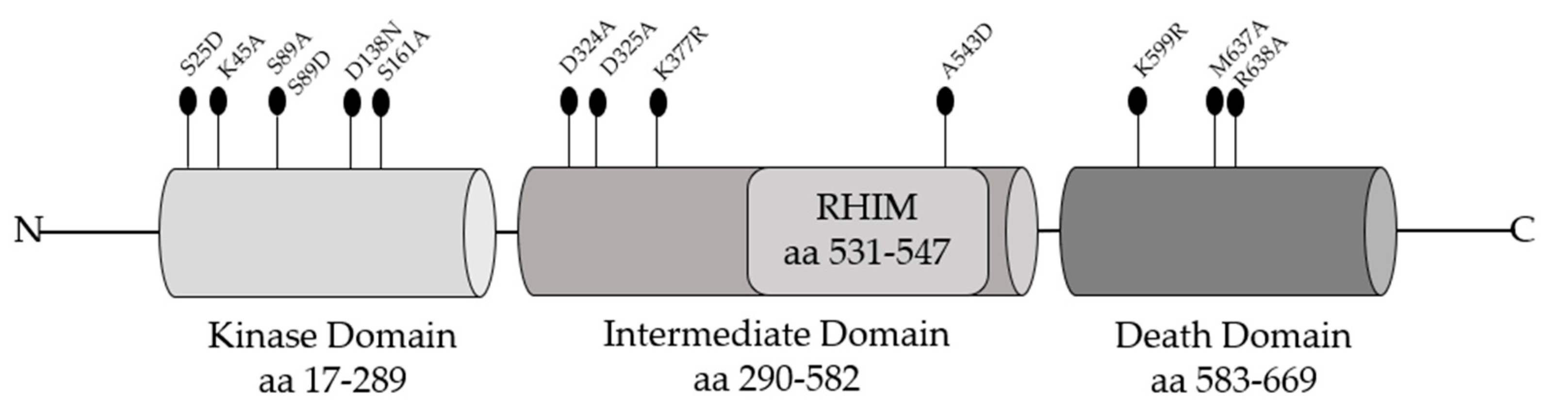 Cancers 13 00684 g003