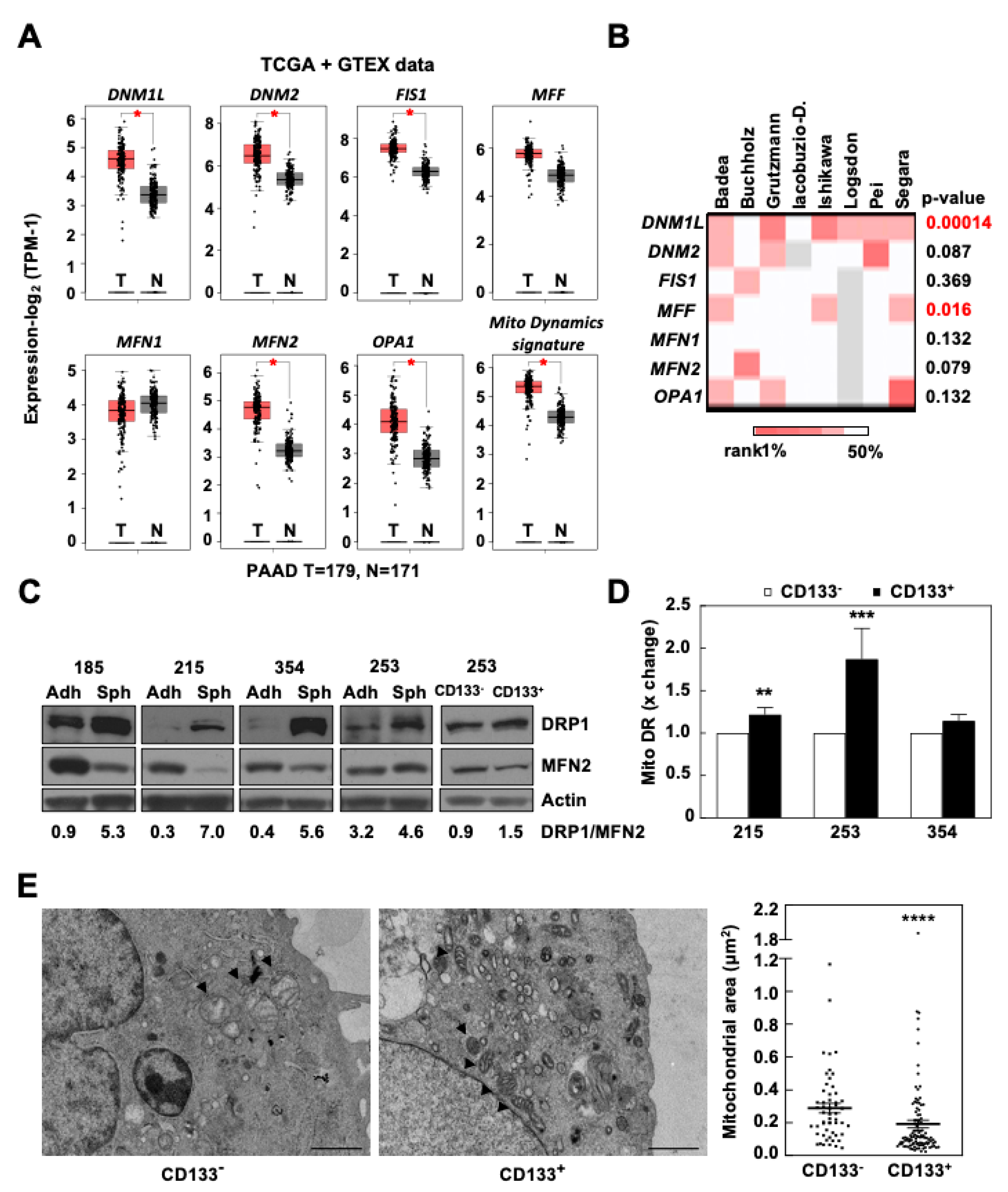 Cancers 13 00698 g001 Cancers 13 00698 g001