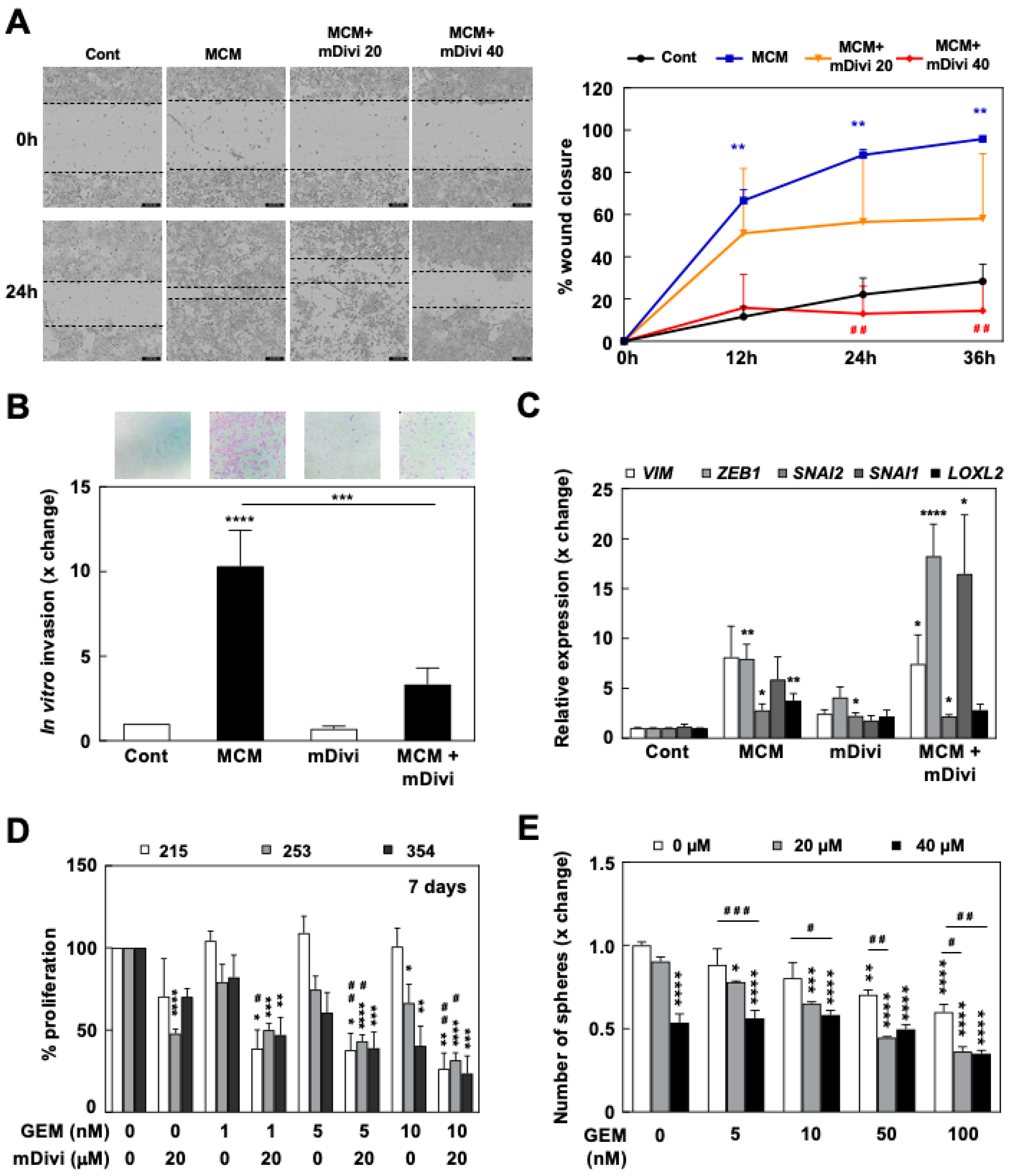 Cancers 13 00698 g006 Cancers 13 00698 g006