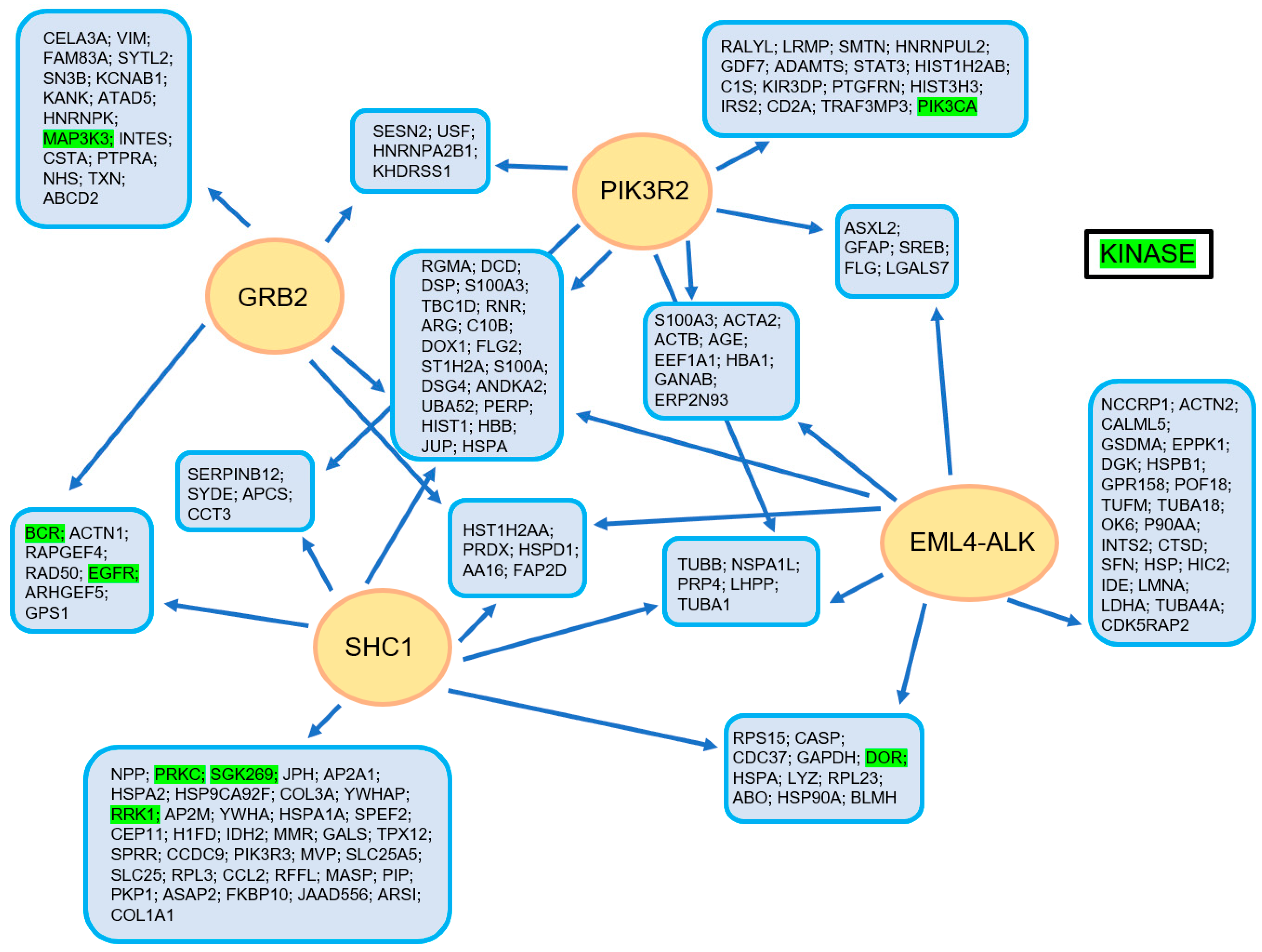 Cancers 13 00699 g002