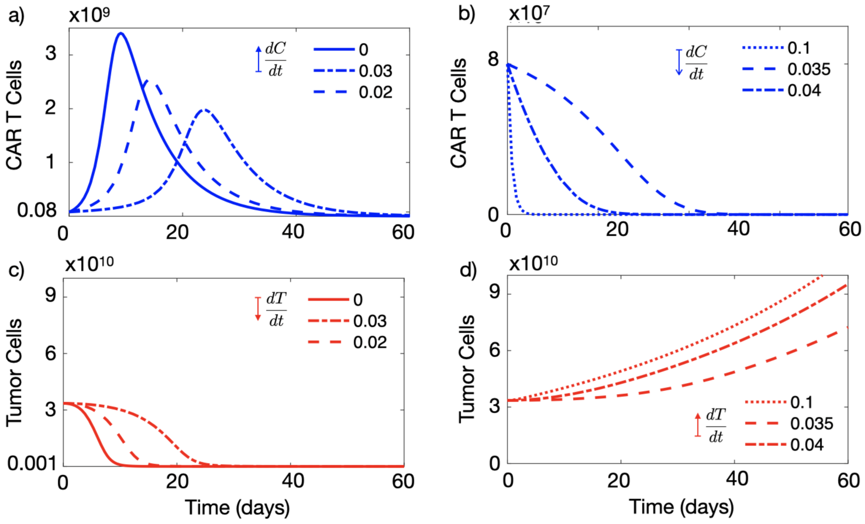 Cancers 13 00703 g001