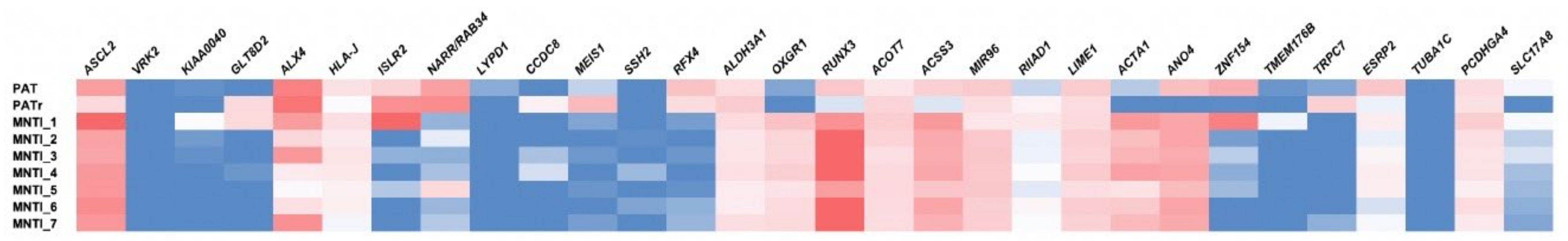 Cancers 13 00706 g007 Cancers 13 00706 g007