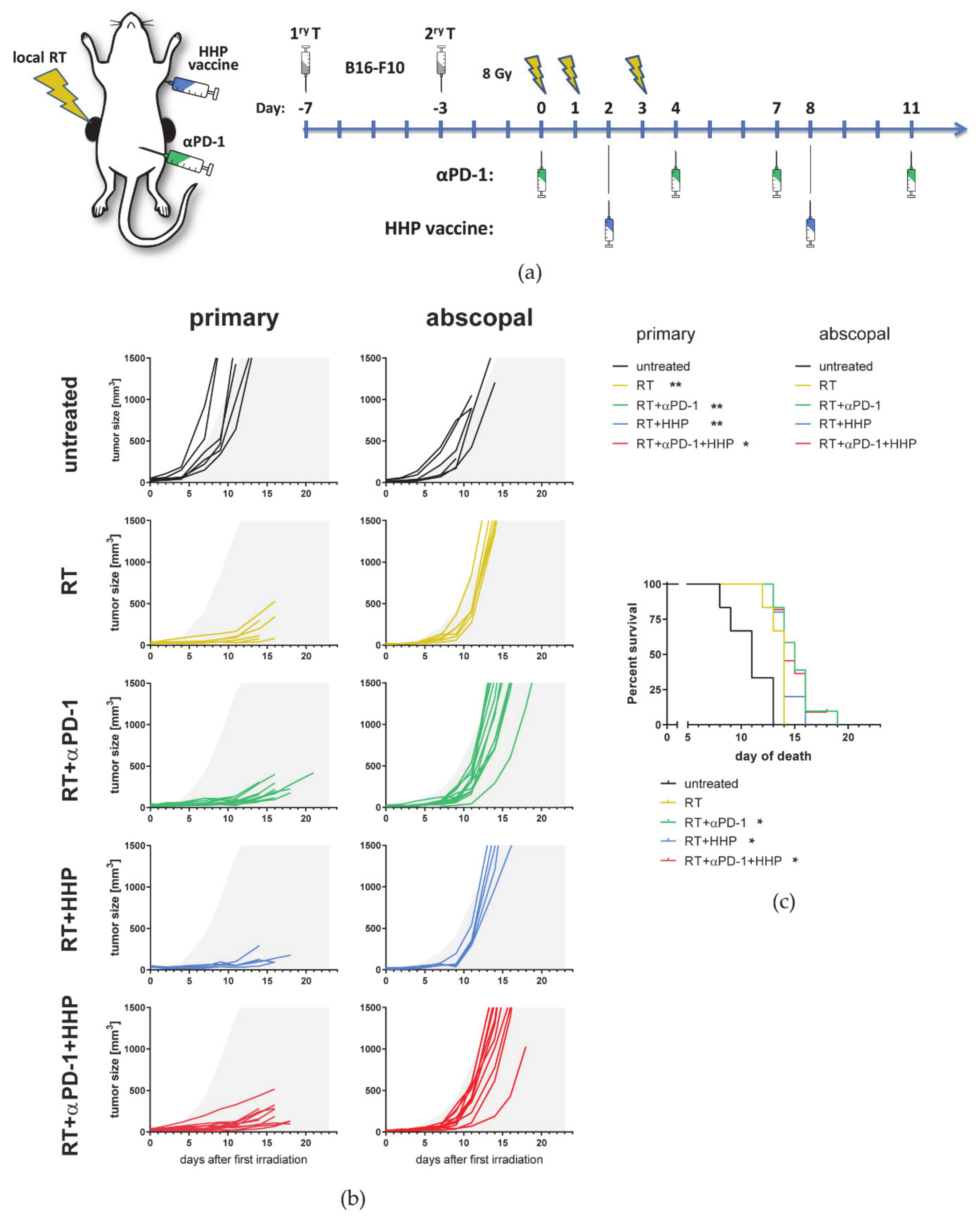 Cancers 13 00714 g008