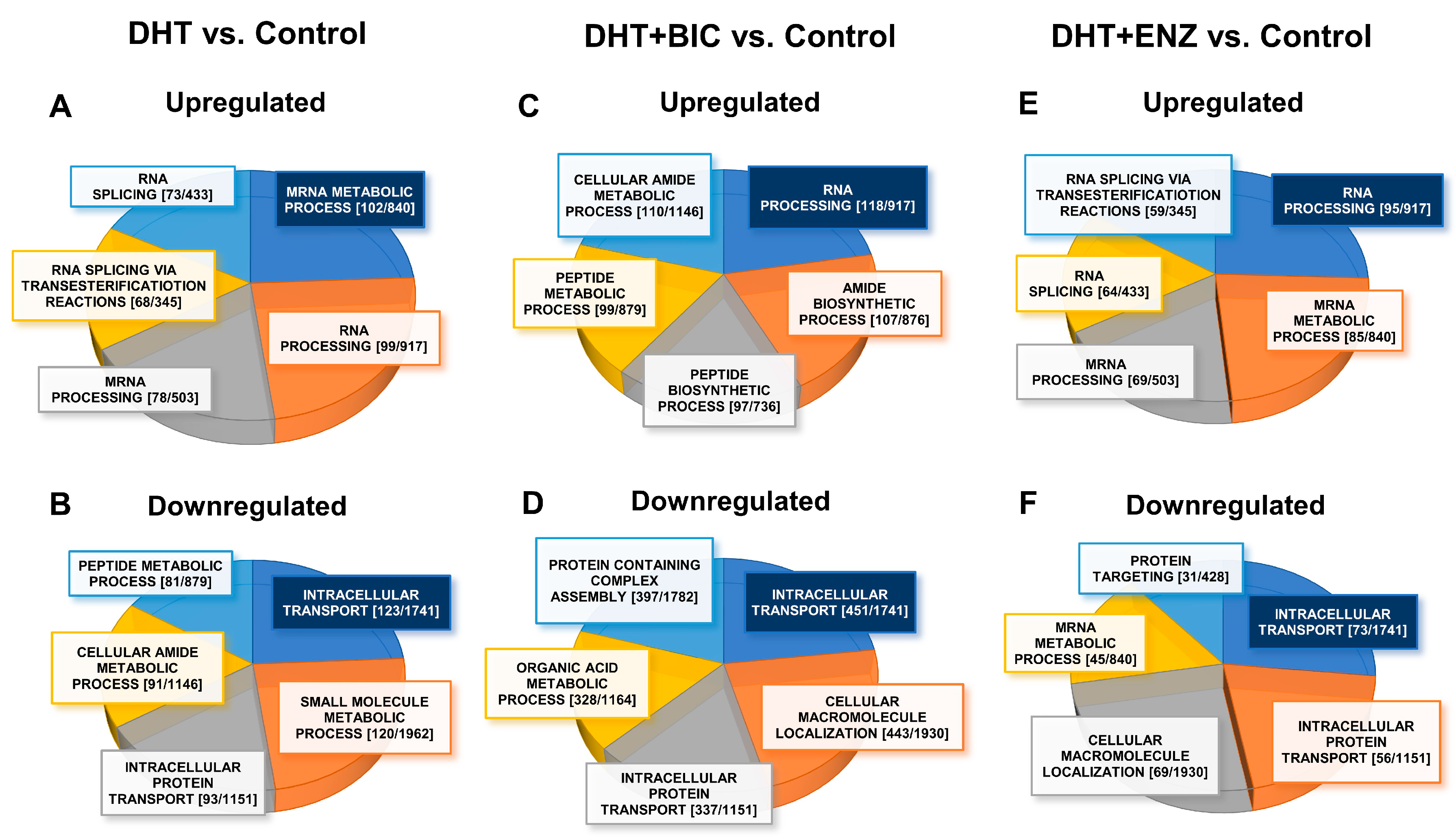 Cancers 13 00715 g005 Cancers 13 00715 g005
