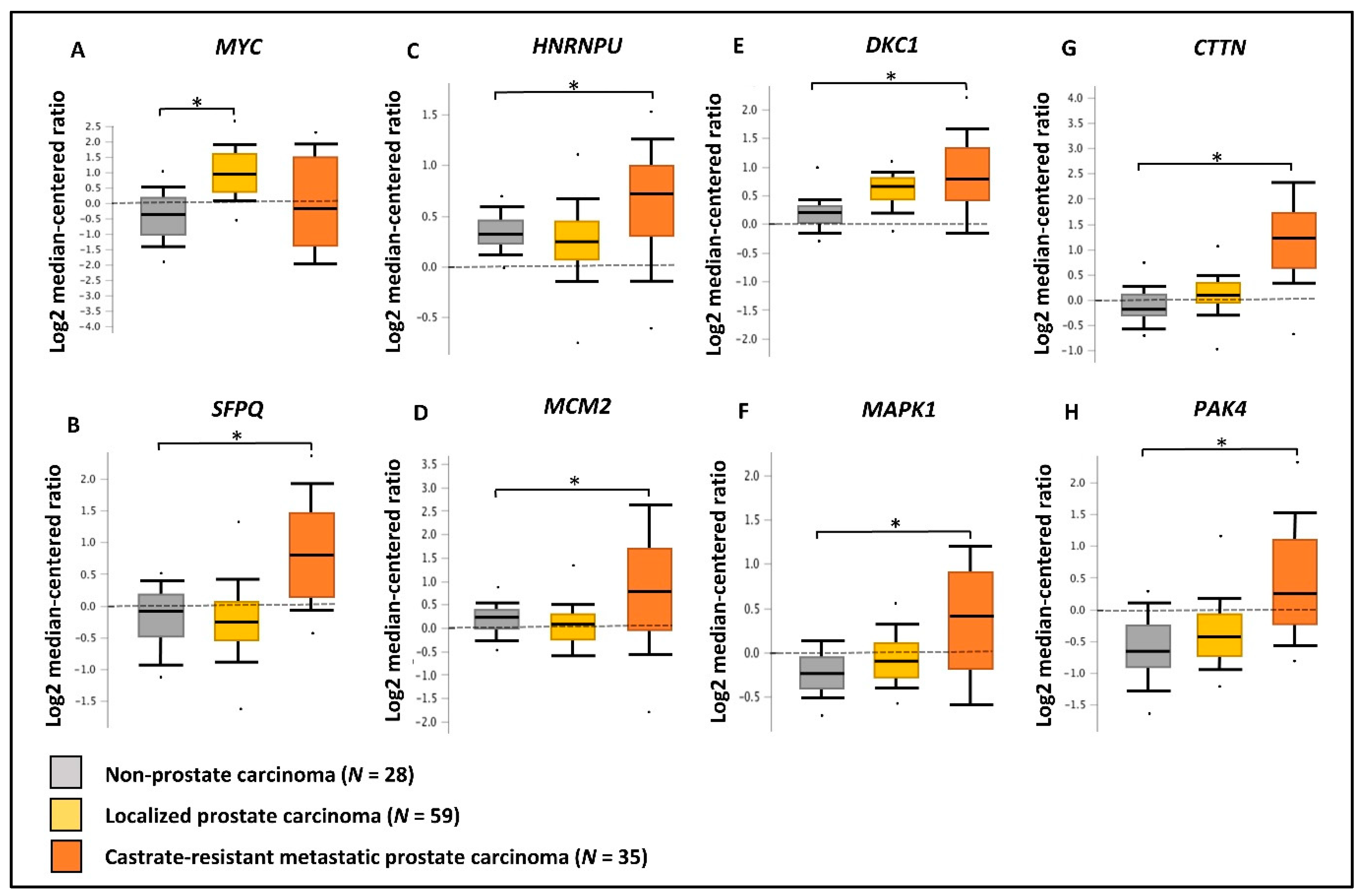 Cancers 13 00715 g008 Cancers 13 00715 g008