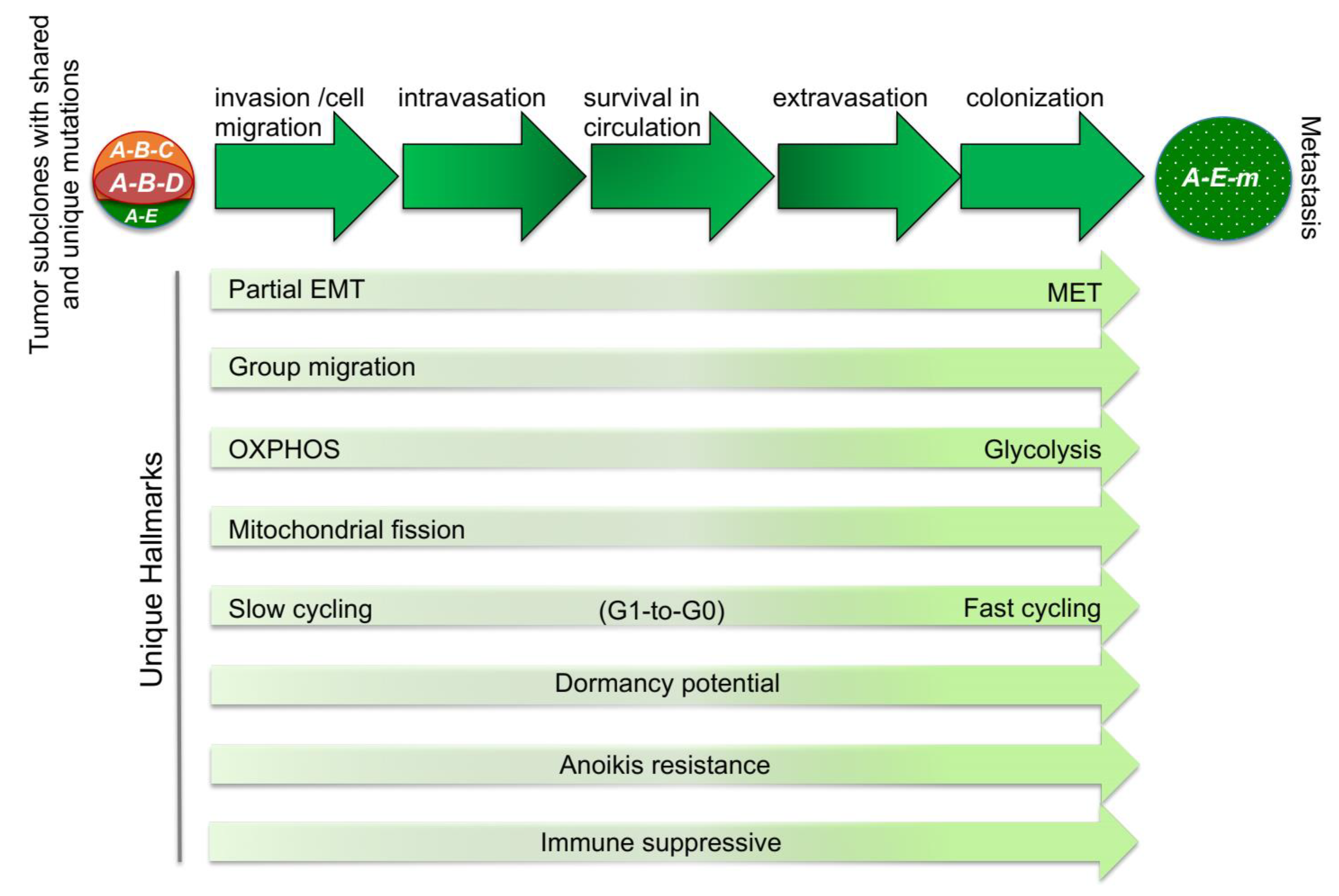 Cancers 13 00717 g001 Cancers 13 00717 g001
