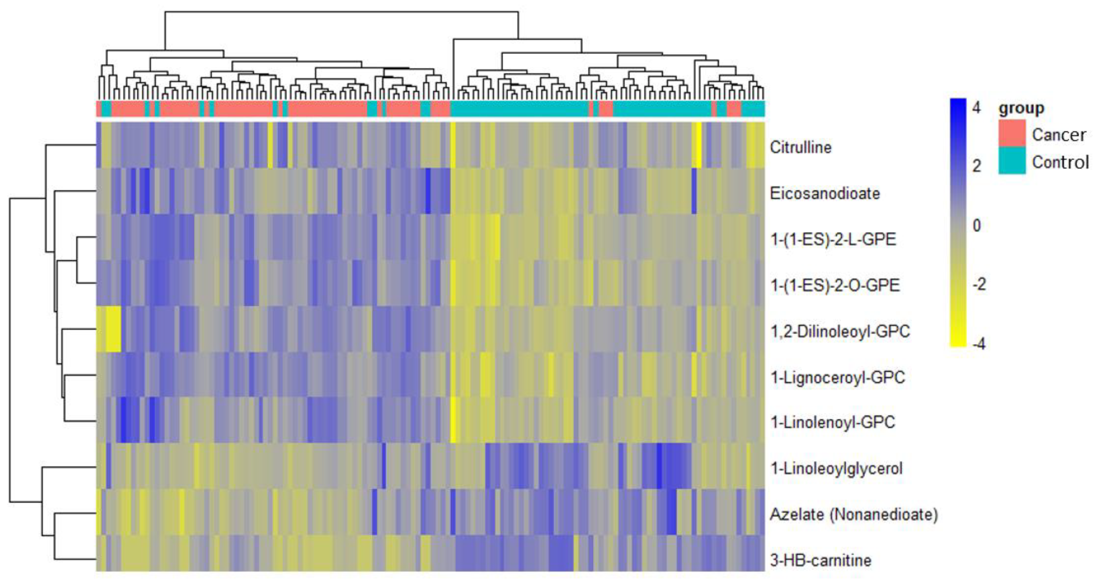 Cancers 13 00718 g005