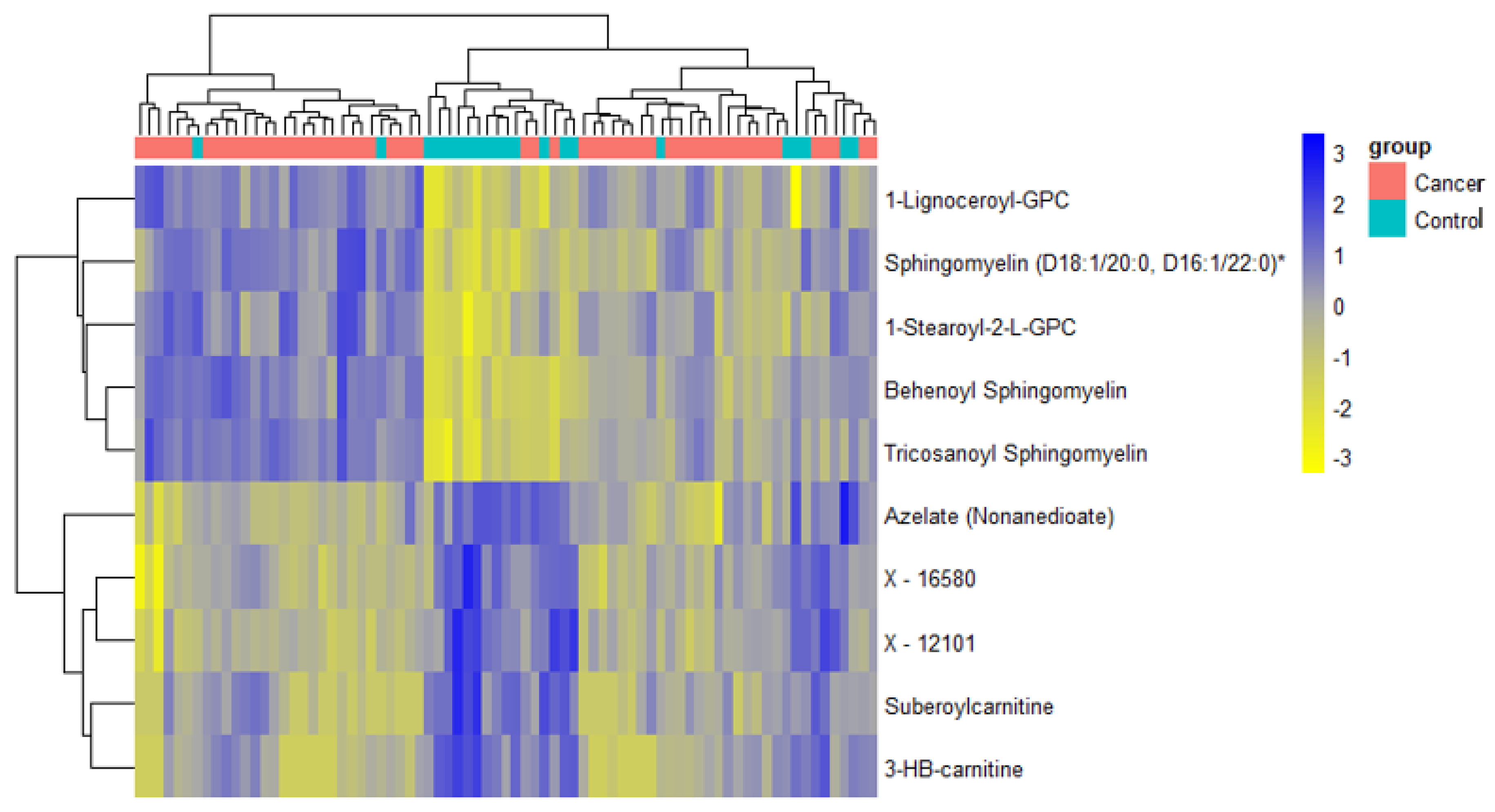 Cancers 13 00718 g019