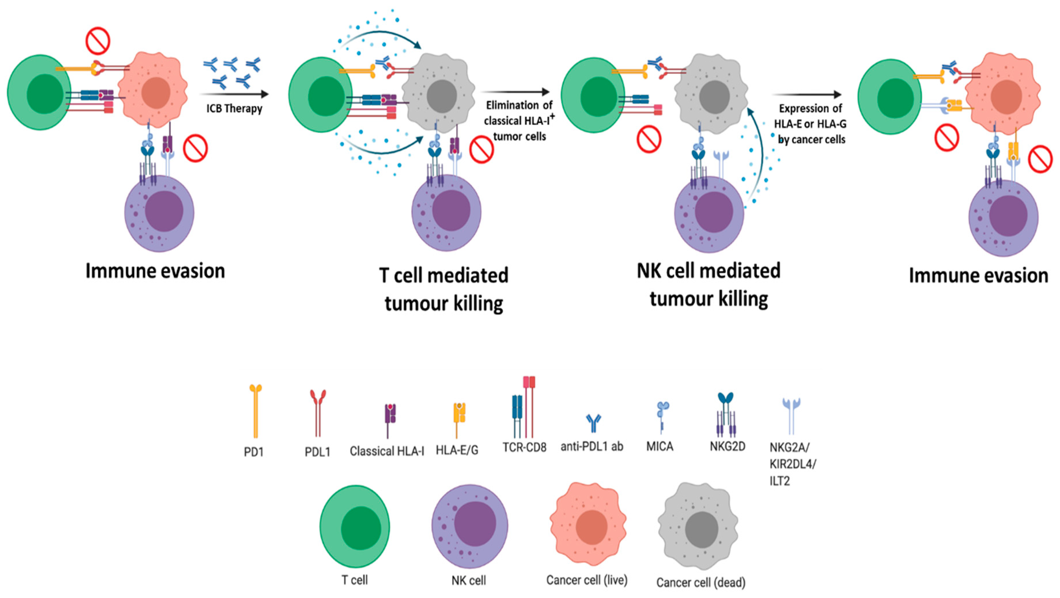Cancers 13 00719 g001